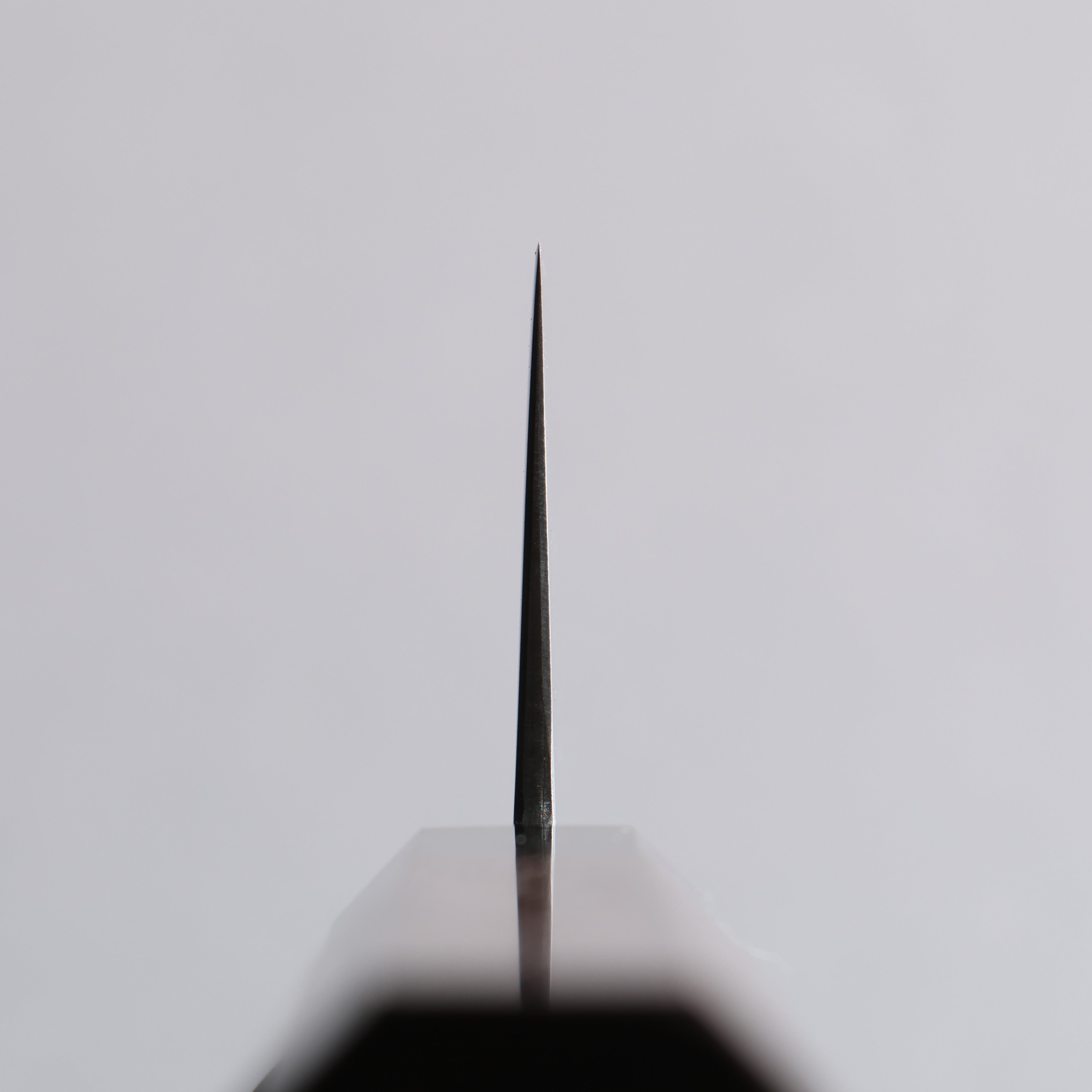Seisuke SG2 Gyuto 210mm Wenge Handle - Japanny - Best Japanese Knife