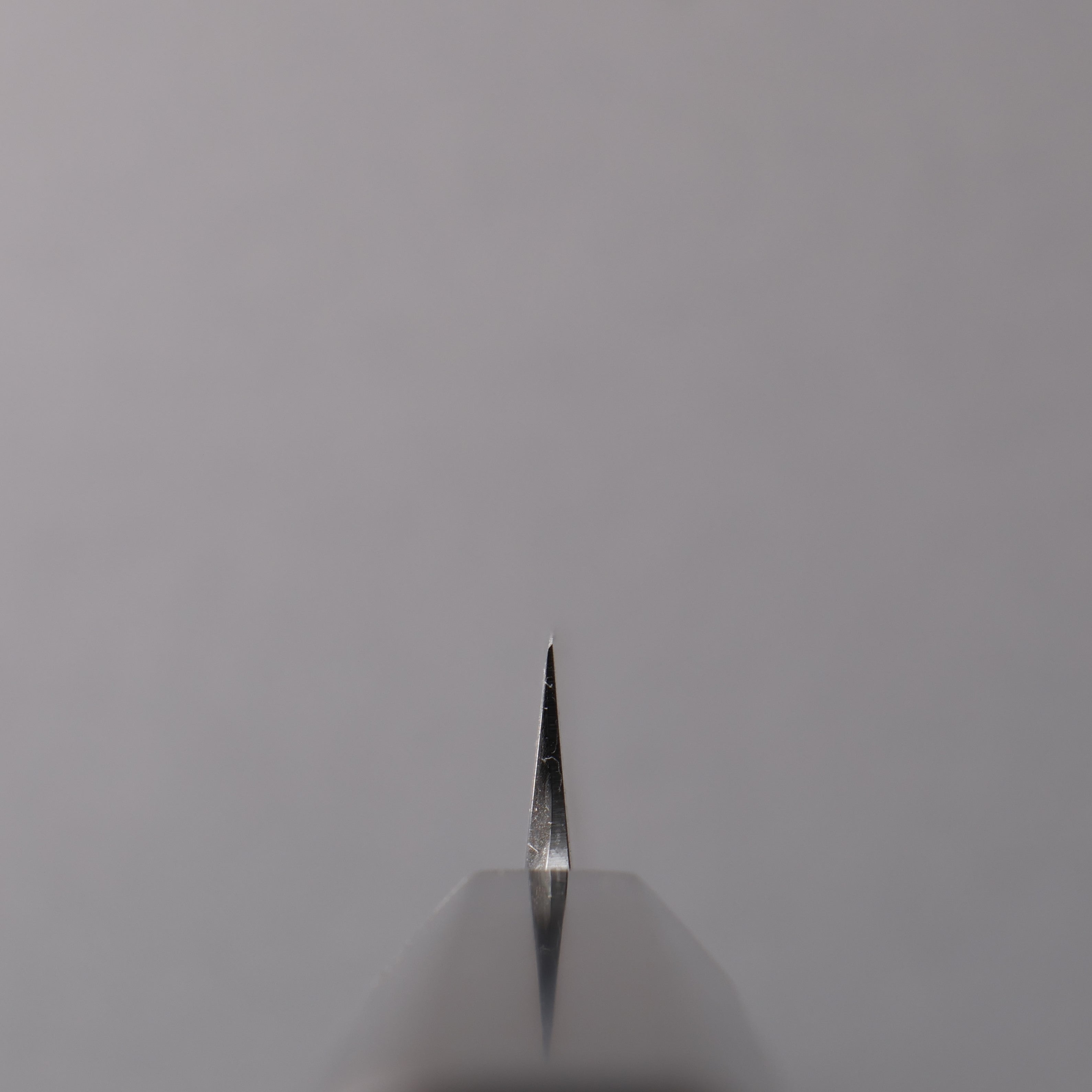 Tessen by Tanaka Tamahagane Mirrored Finish Sakimaru Yanagiba 240mm Ebony Wood Handle with Sheath - Japanny - Best Japanese Knife