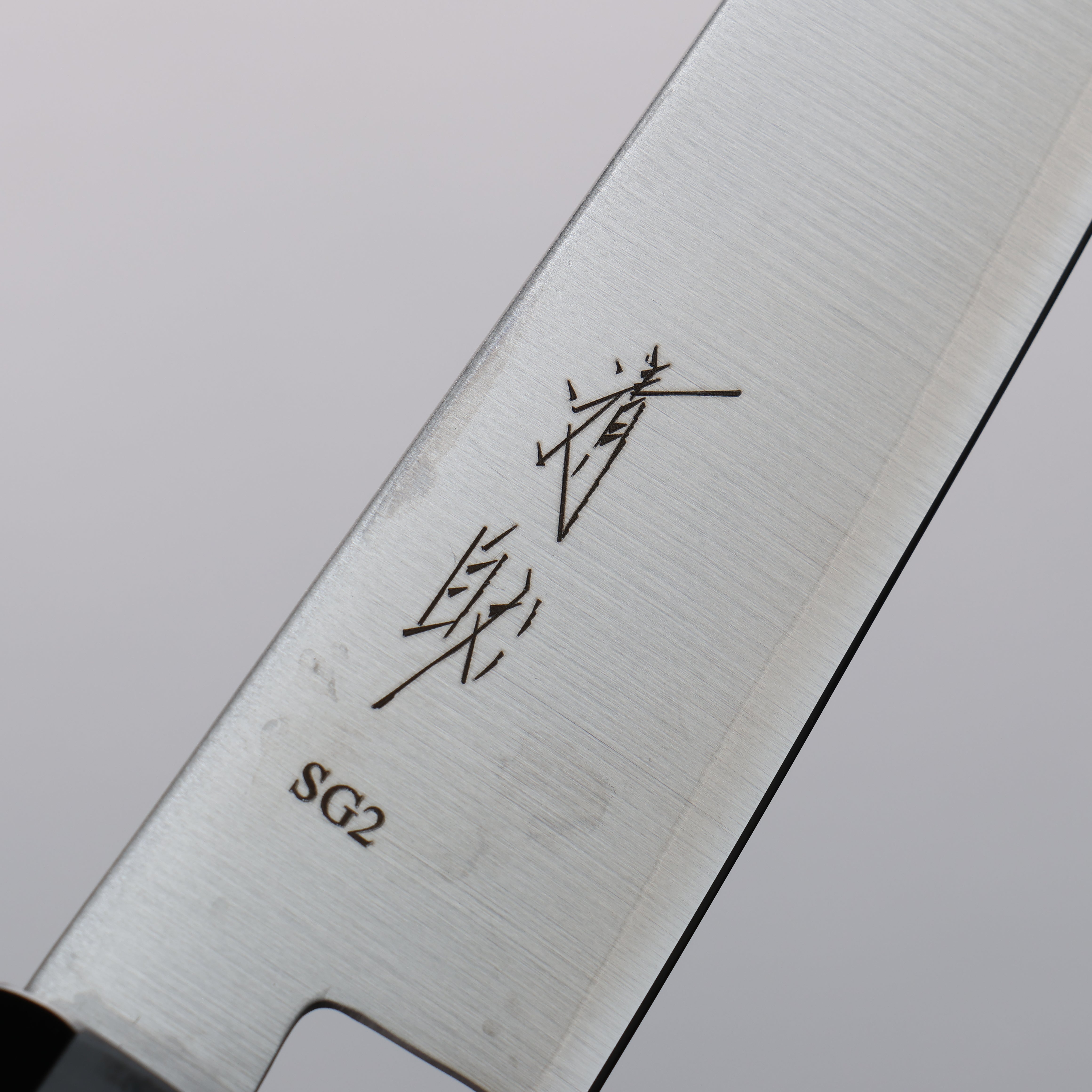 Seisuke SG2 Kiritsuke Petty-Utility 150mm Wenge Handle - Japanny - Best Japanese Knife