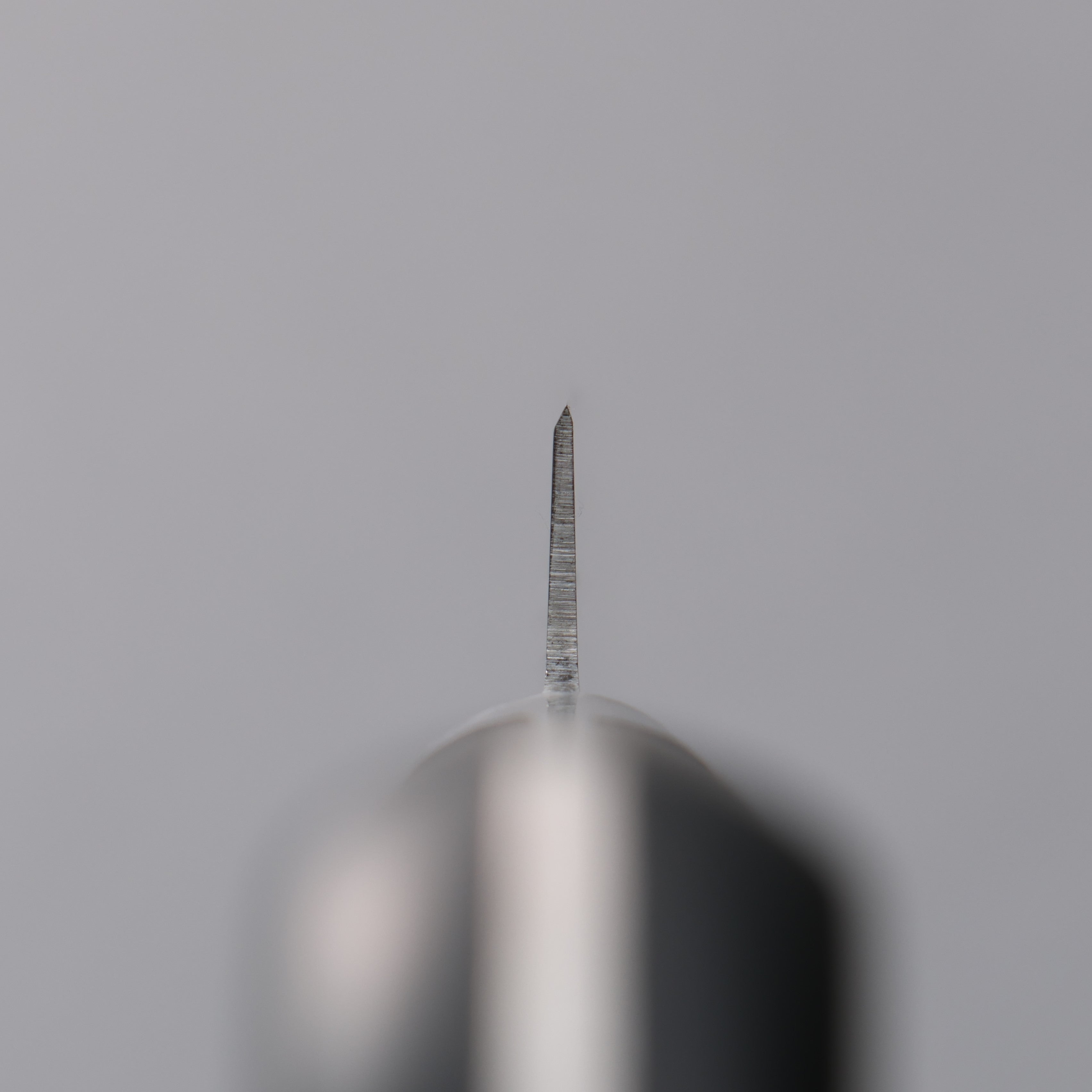 Sakai Takayuki Japanese Steel Sujihiki 210mm Pakka wood Handle - Japanny - Best Japanese Knife