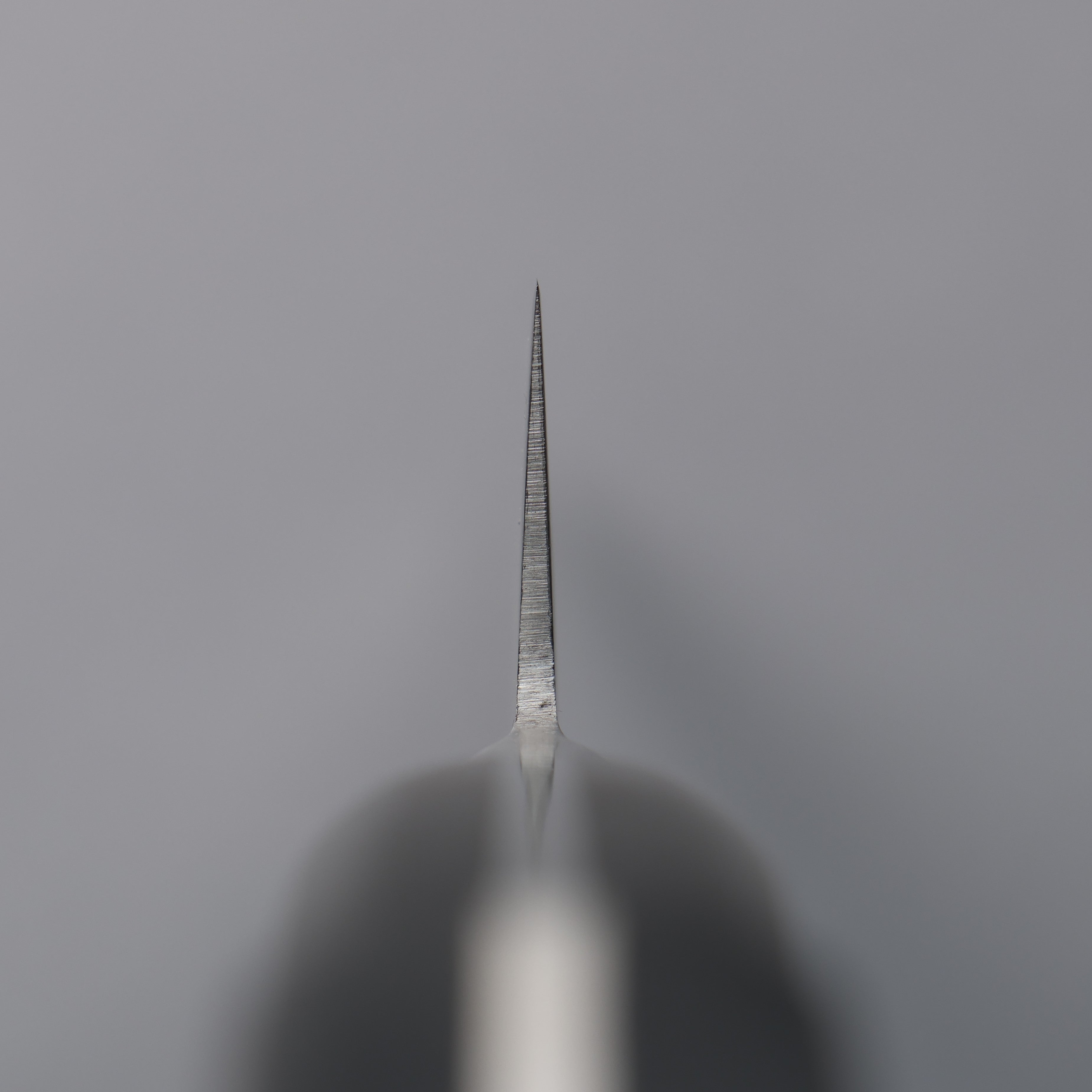 Tojiro (Fujitora) DP Cobalt Alloy Steel Sujihiki 270mm Pakka wood Handle FU806 - Japanny - Best Japanese Knife