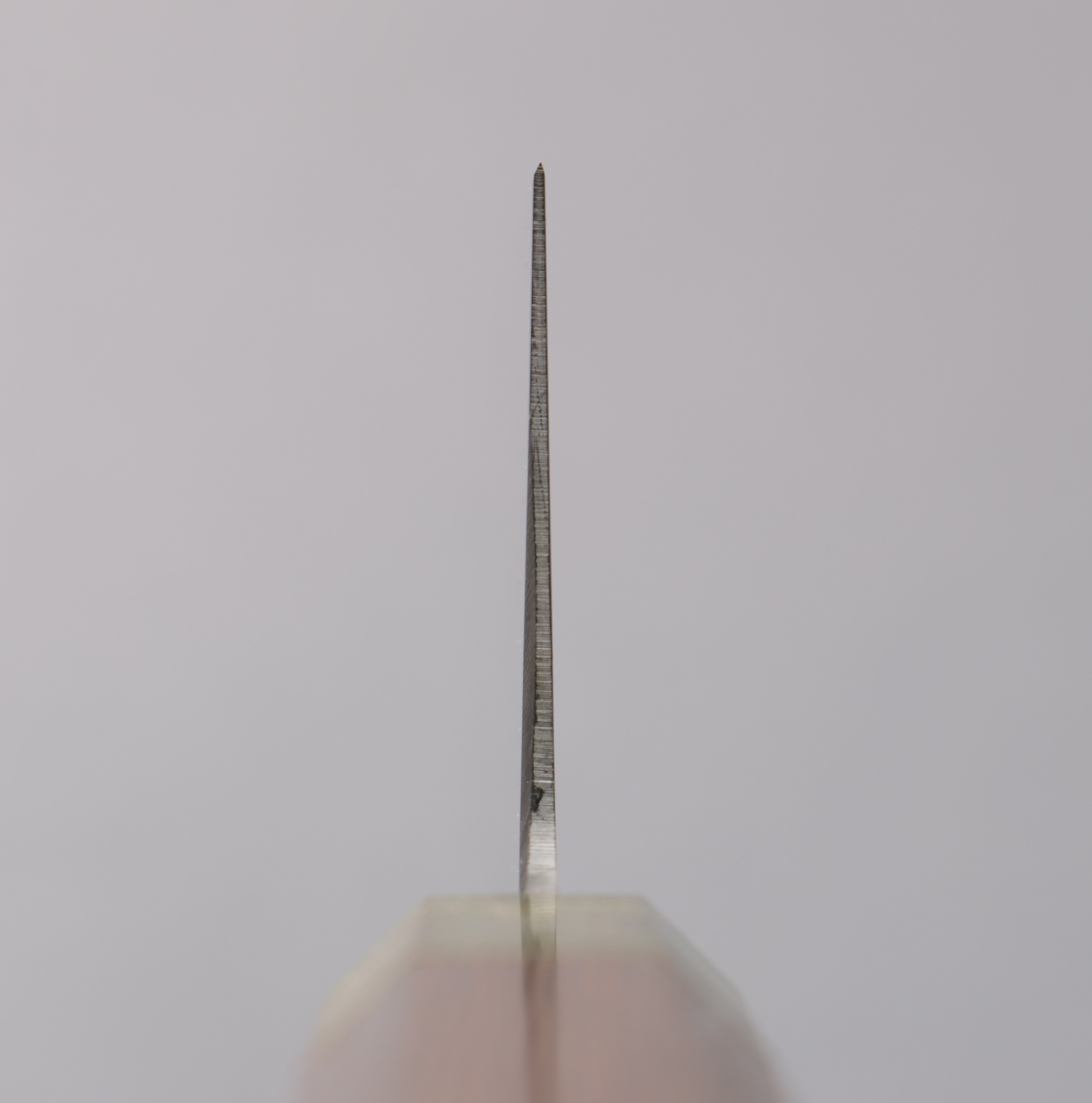 Sakai Takayuki Antares Emerald Uddeholm Swedish stain-resistant steel Gyuto 240mm Wenge (Double Green Ring) Handle - Japanny - Best Japanese Knife