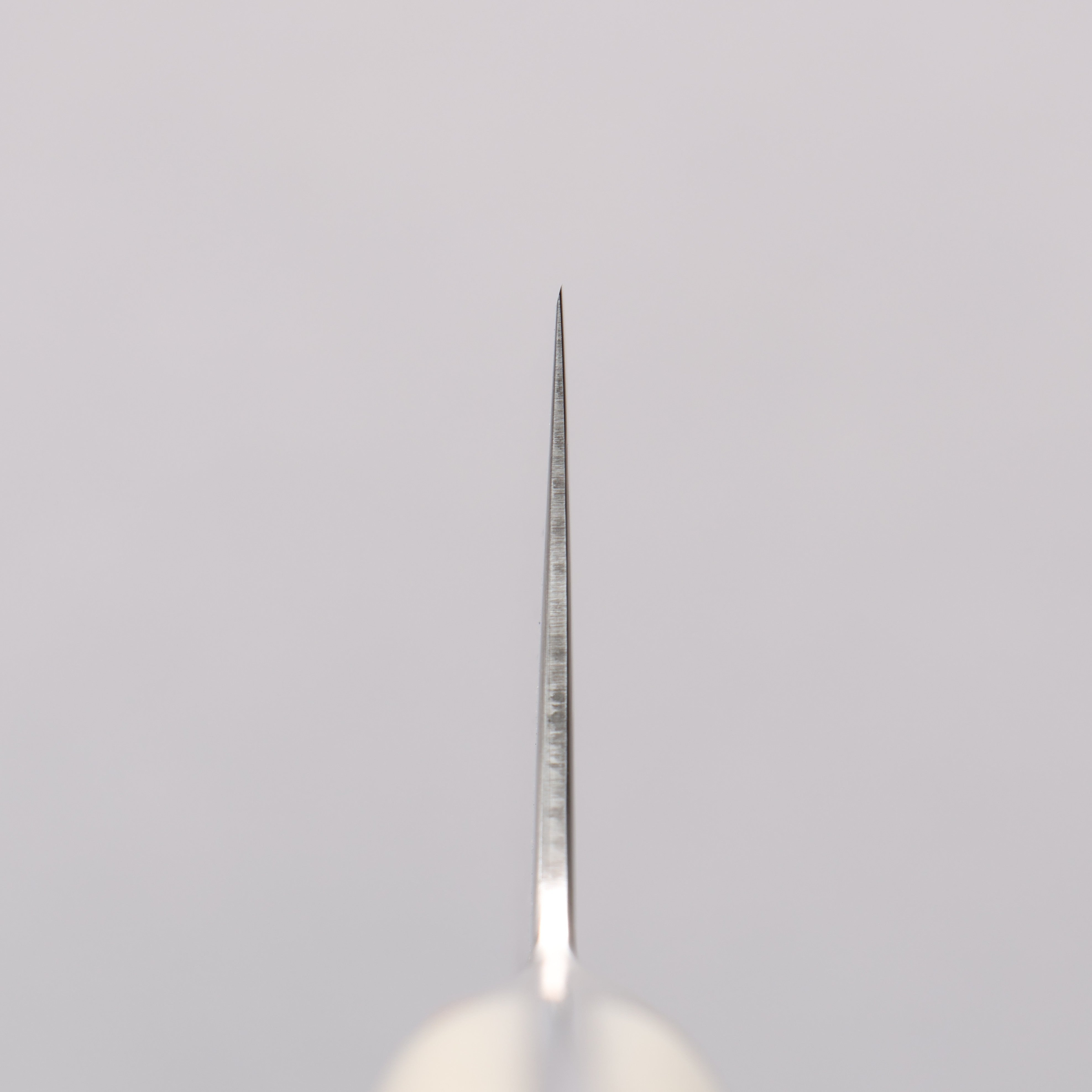 Kajin ZDP189 Damascus Migaki Finished Kiritsuke Gyuto 210mm Corian with Turquoise Inlay Handle - Japanny - Best Japanese Knife