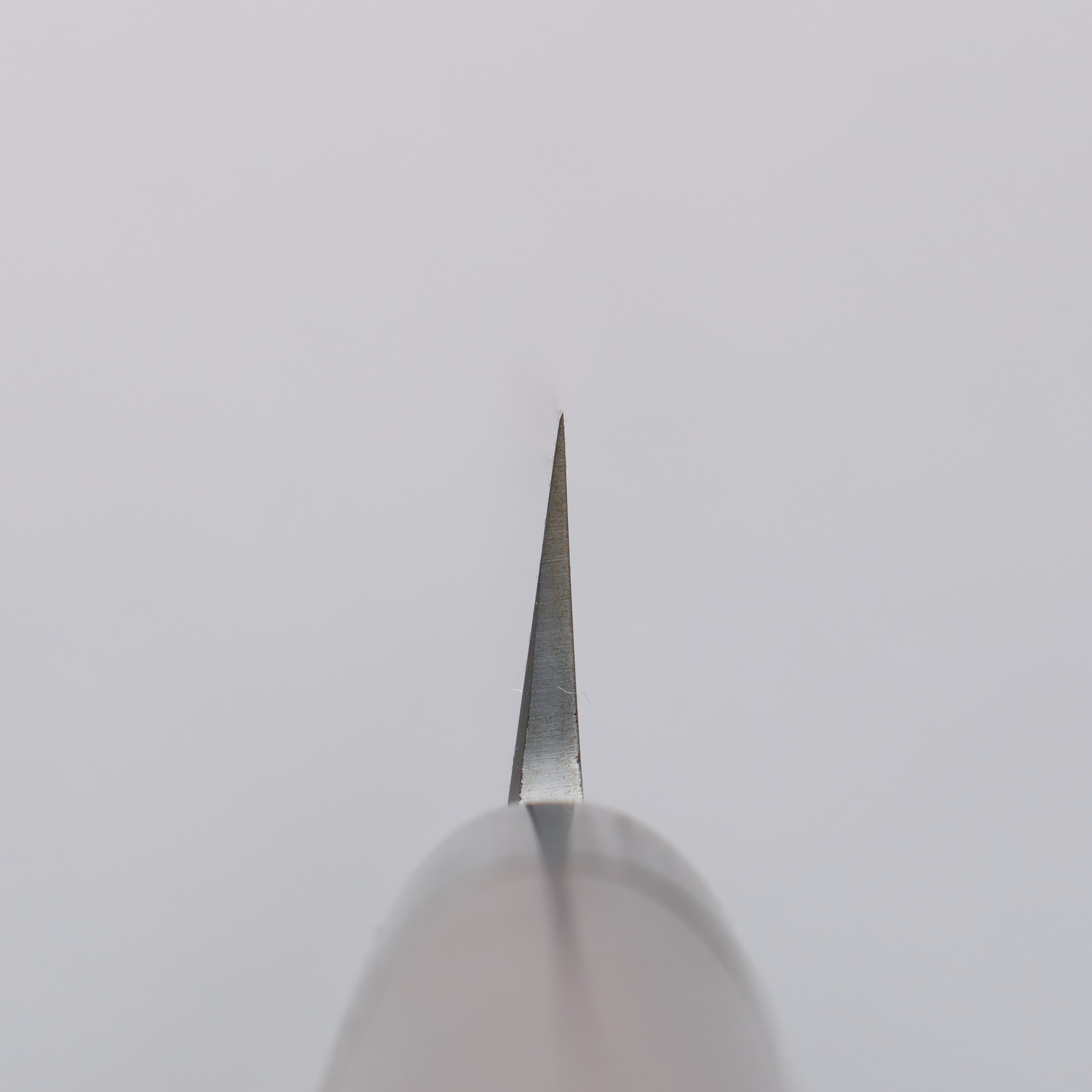 Jikko White Steel No.2 Yanagiba 270mm Shitan Handle - Japanny - Best Japanese Knife