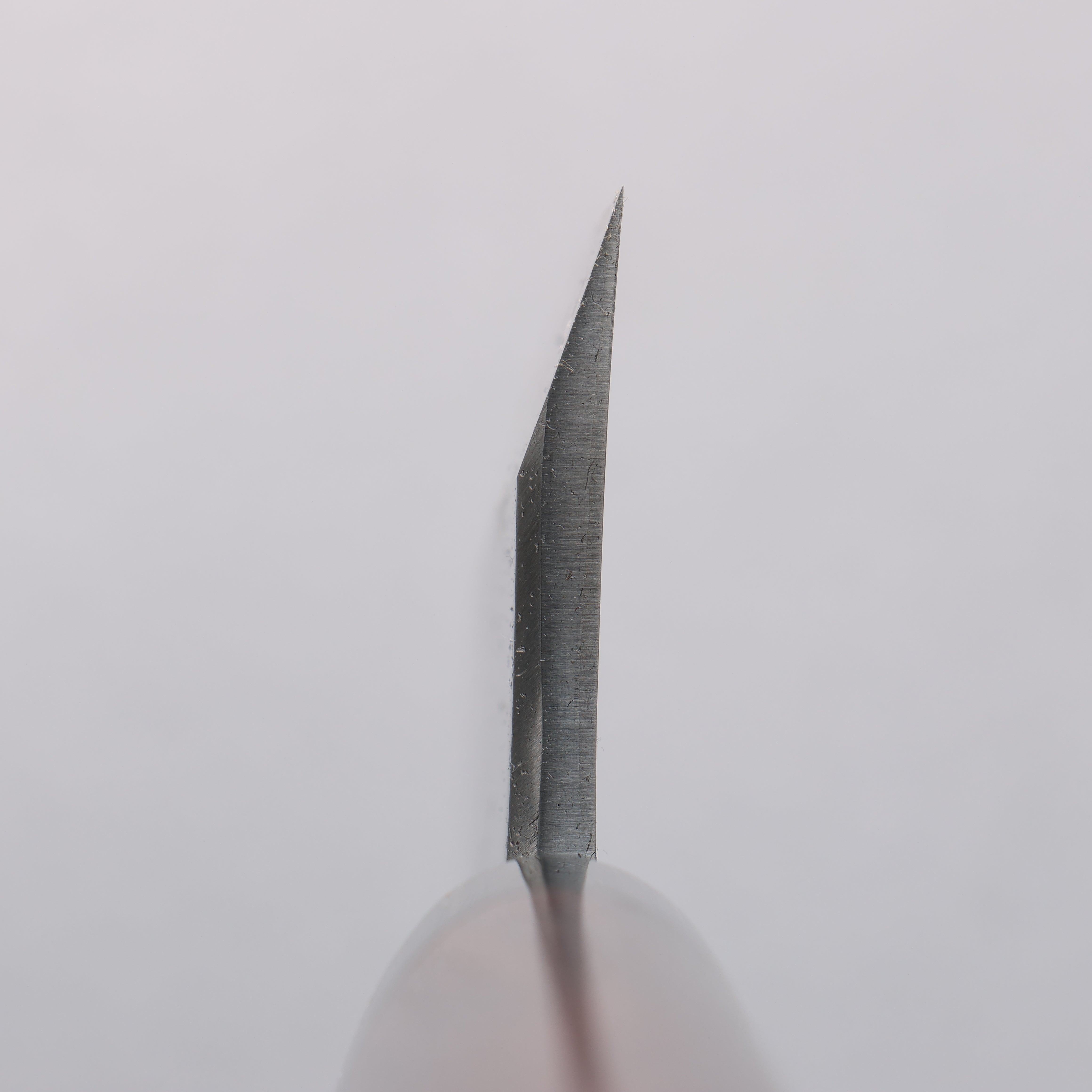 Jikko Silver Steel No.3 Deba 210mm Shitan Handle - Japanny - Best Japanese Knife