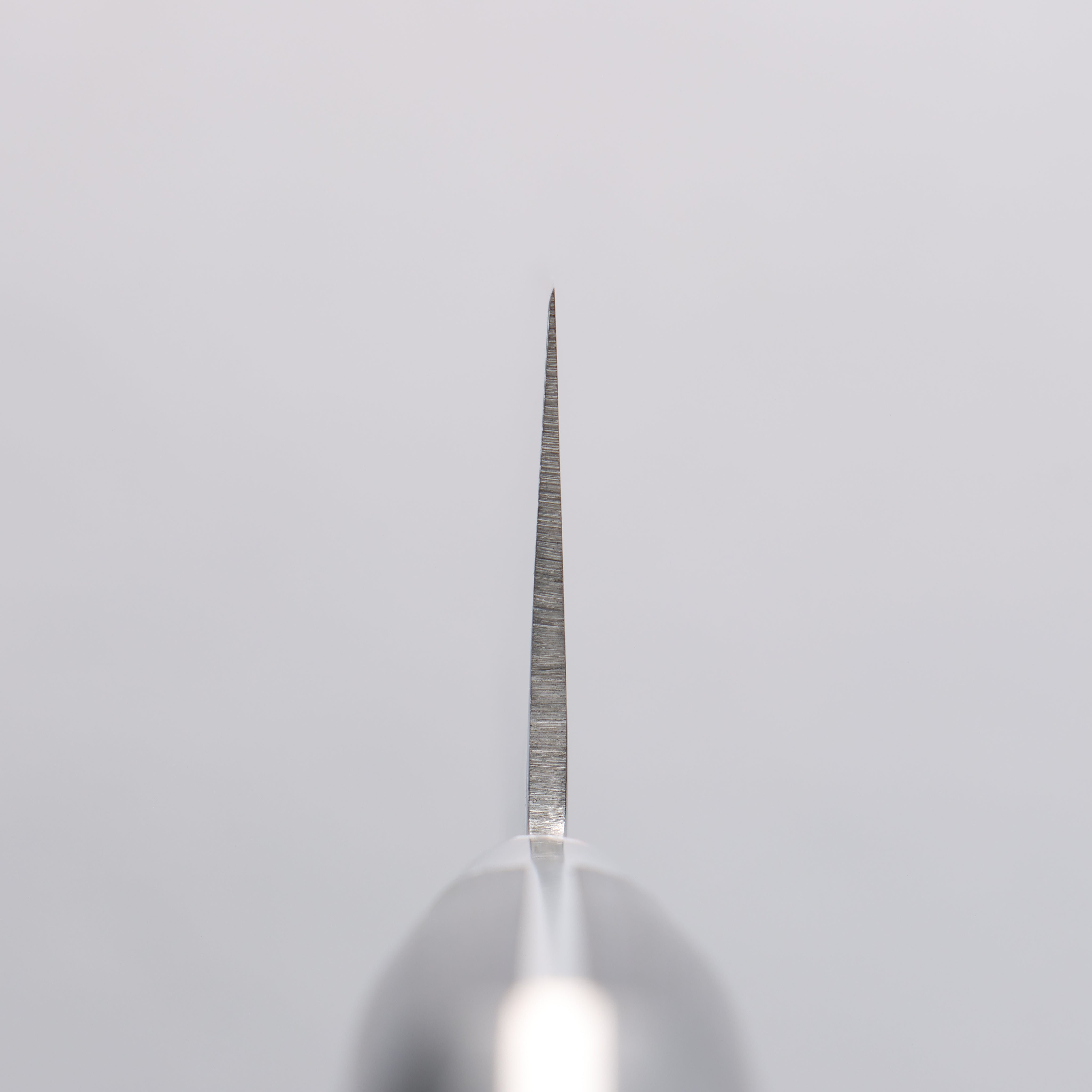 Seisuke VG10 33 Layer Hammered Damascus Gyuto 210mm Navy blue Pakka wood Handle - Japanny - Best Japanese Knife