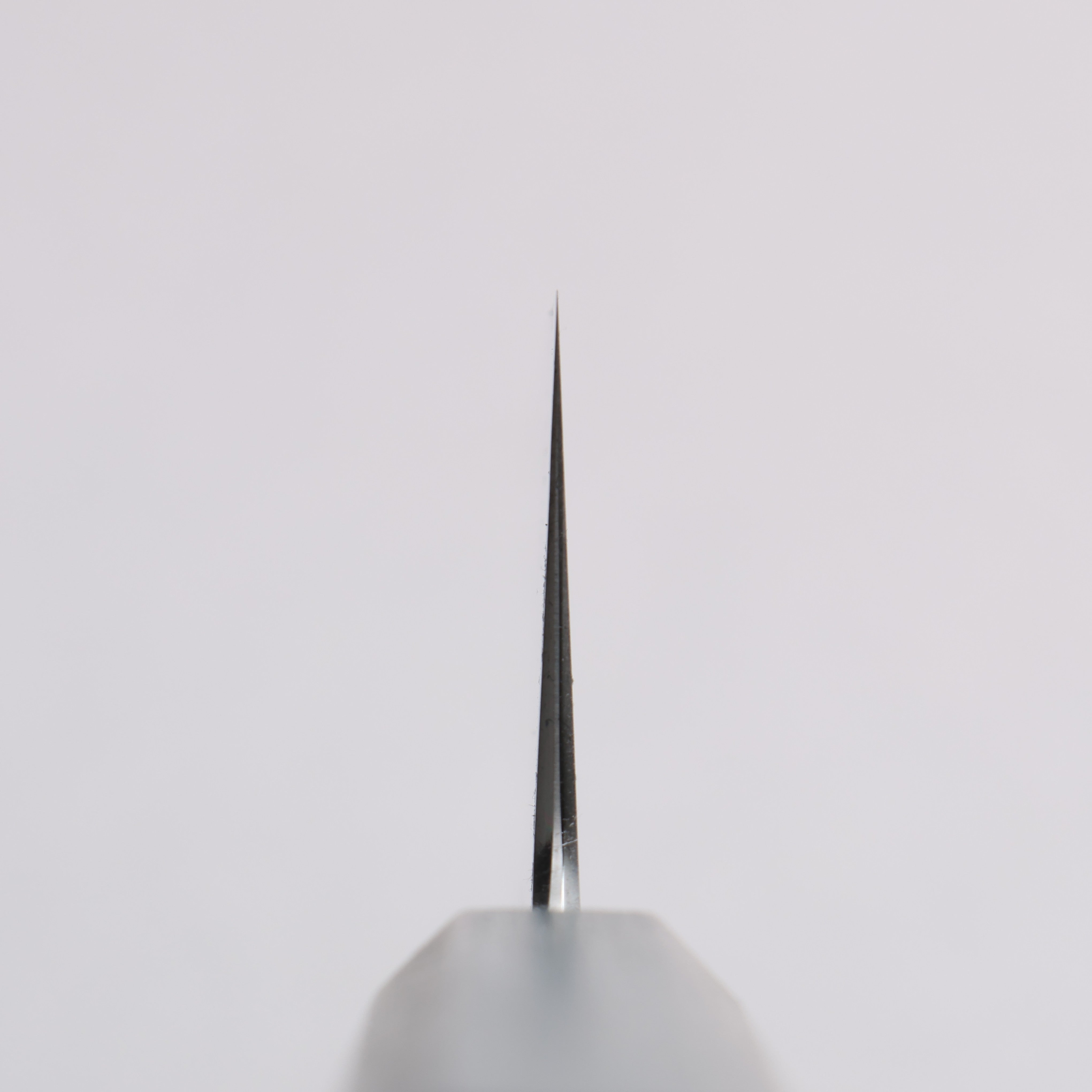 Naohito Myojin SG2 Kasumitogi Gyuto 240mm Oak (Indigo Dyed) Handle - Japanny - Best Japanese Knife