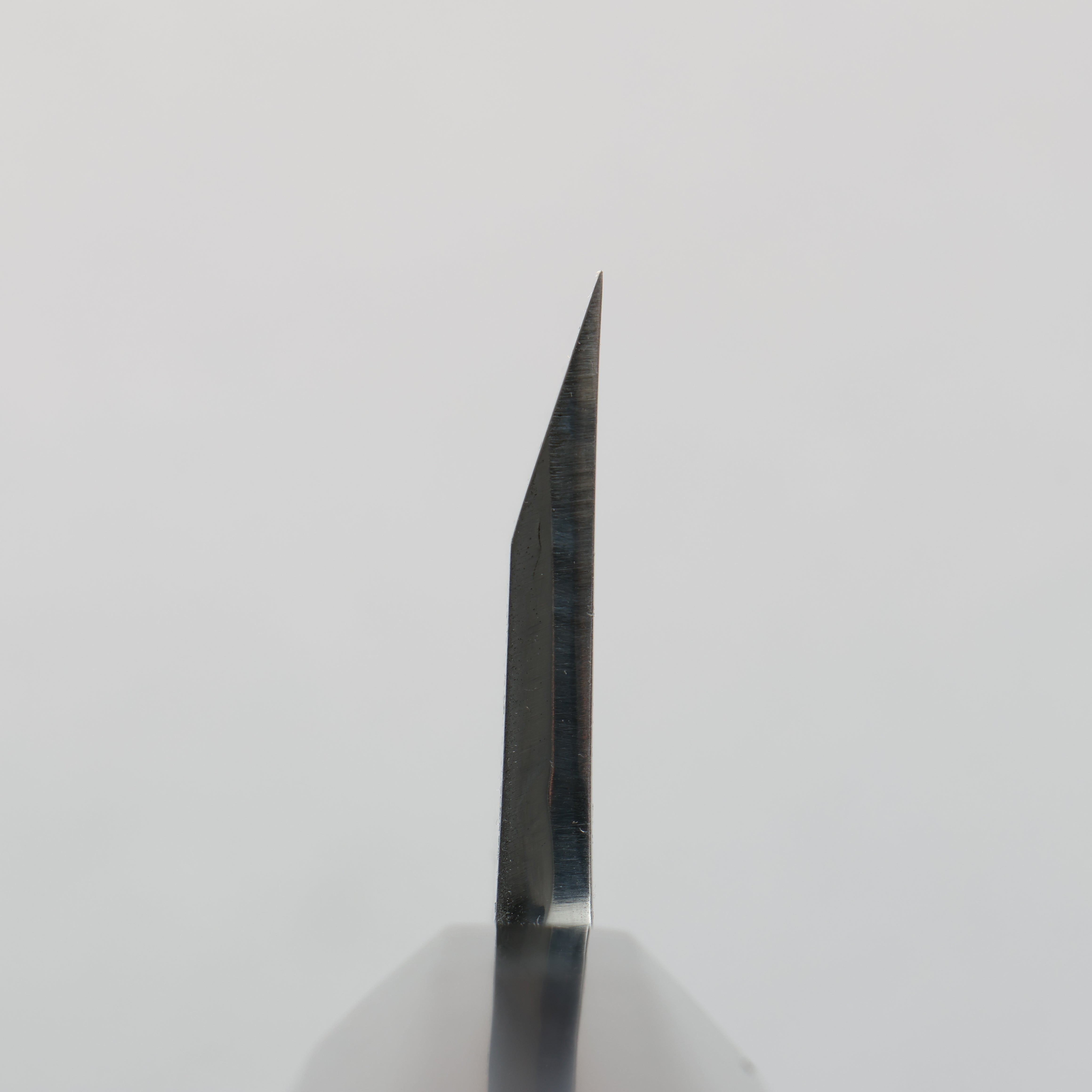 Sakai Takayuki Blue Steel No.2 Deba Ebony Wood Handle - Japanny - Best Japanese Knife