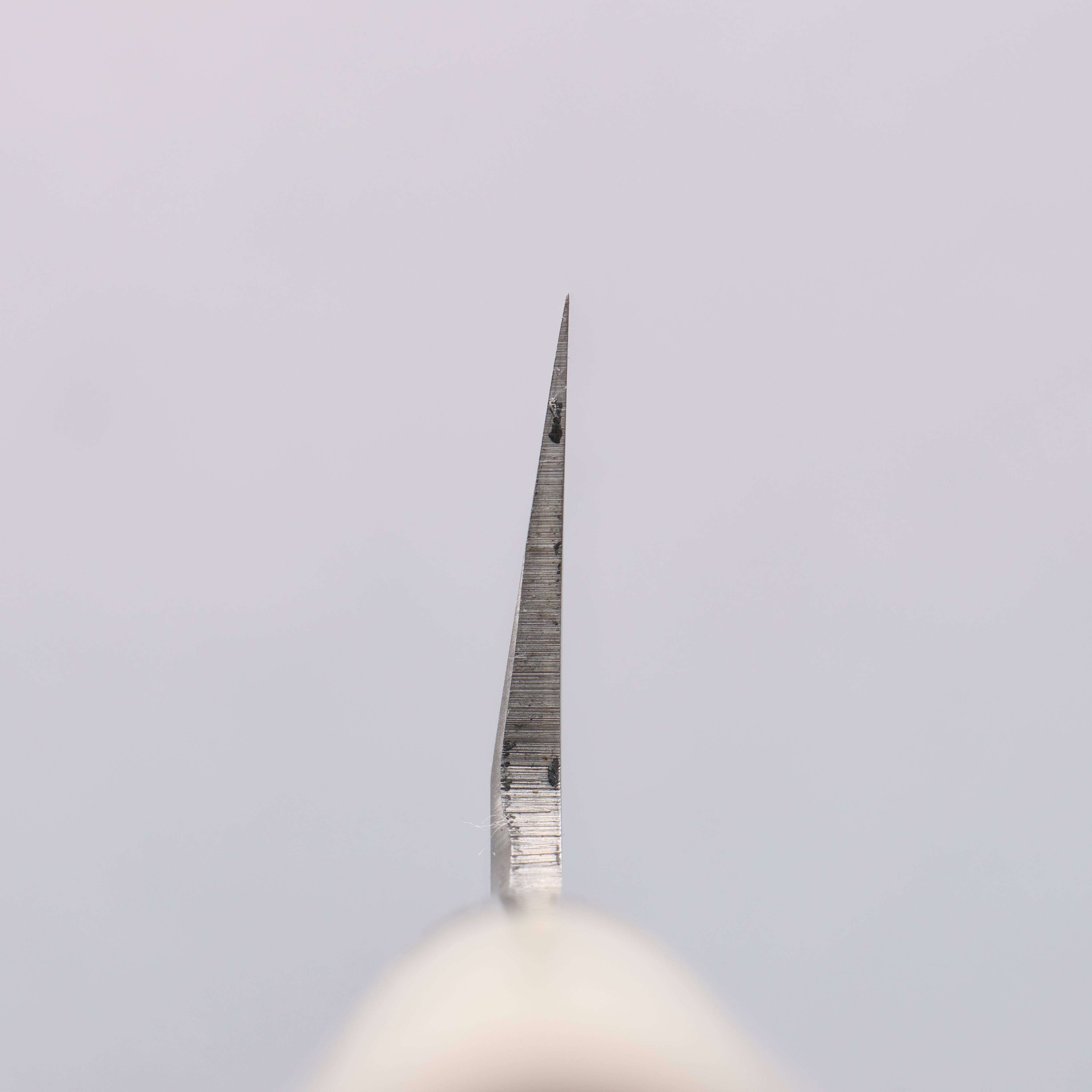 Sakai Takayuki INOX Molybdenum Usuba 210mm Magnolia Handle - Japanny - Best Japanese Knife