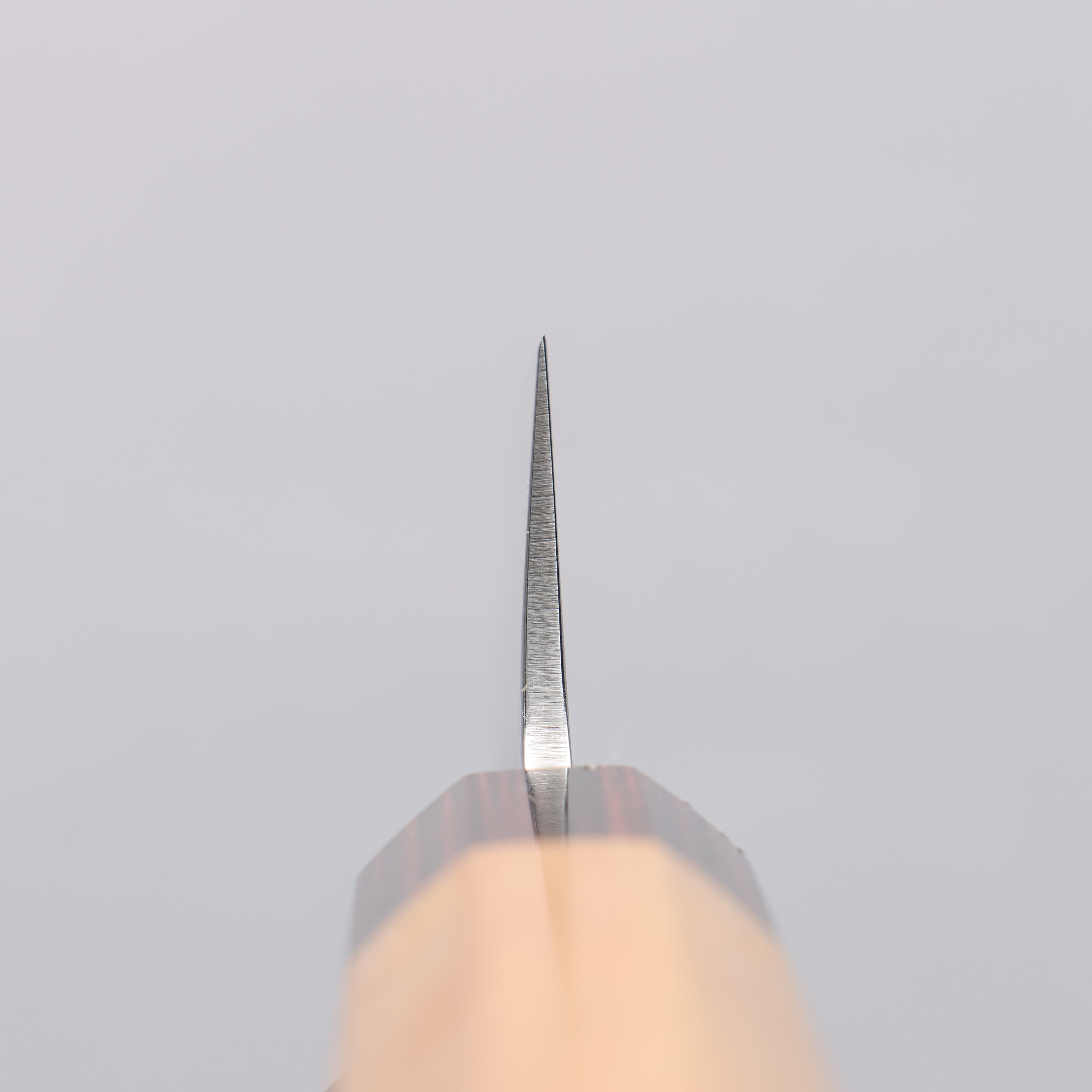 Sakai Takayuki VG10 33 Layer Damascus Sabaki 150mm Keyaki (Japanese Elm) Handle - Japanny - Best Japanese Knife