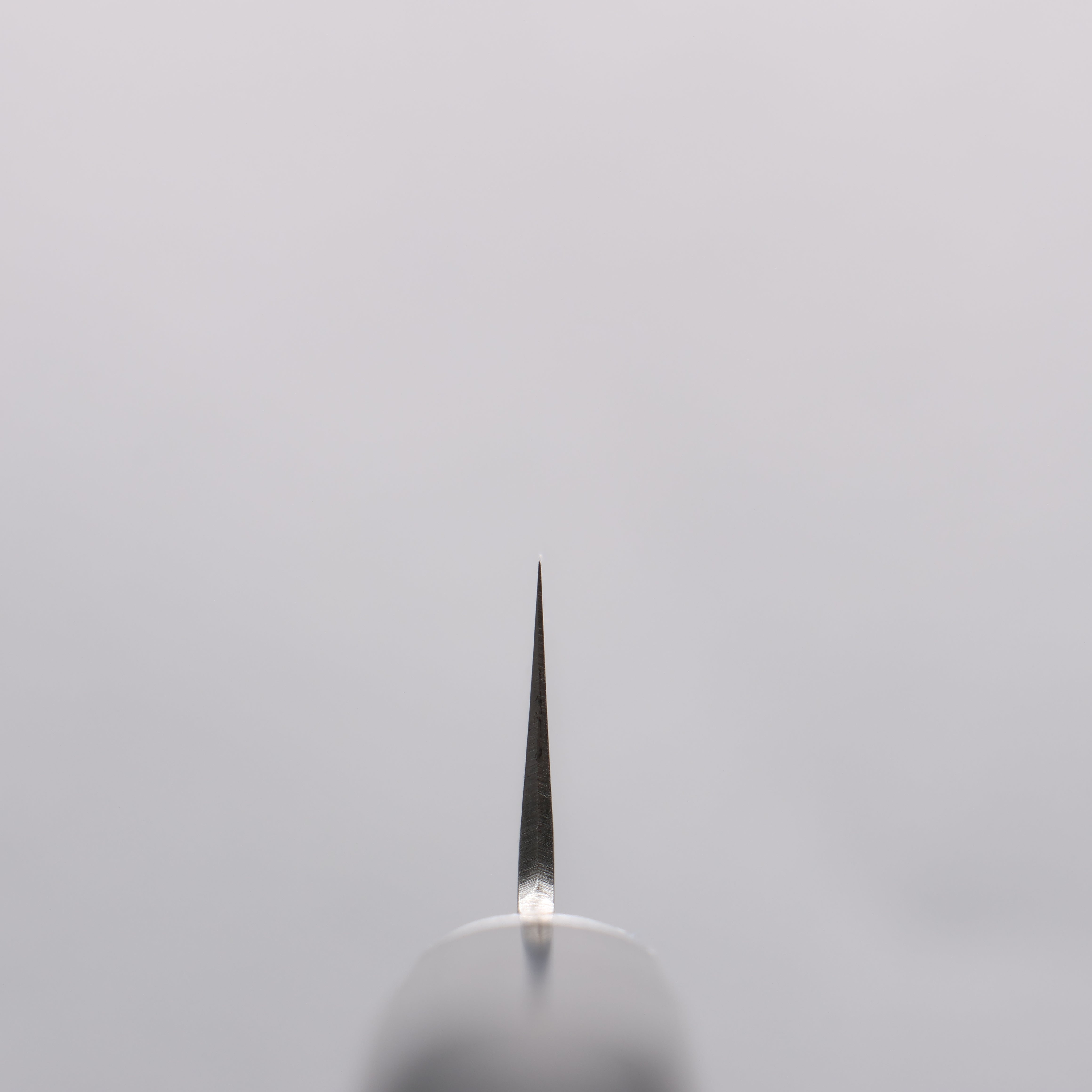 Seisuke VG10 Damascus Small Santoku 135mm Black Pakka wood Handle - Japanny - Best Japanese Knife