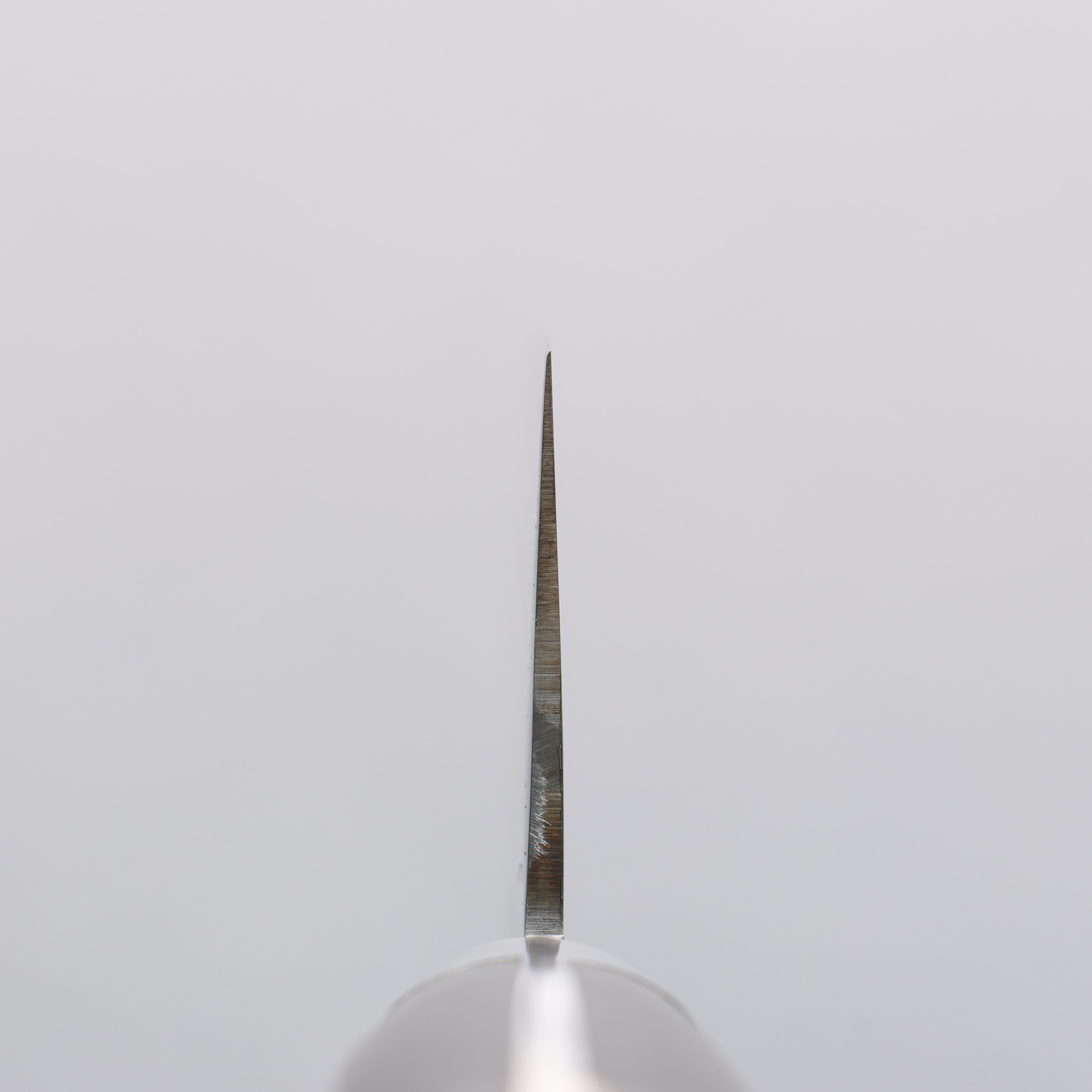 Seisuke VG1 Santoku 180mm Black Pakka wood Handle - Japanny - Best Japanese Knife