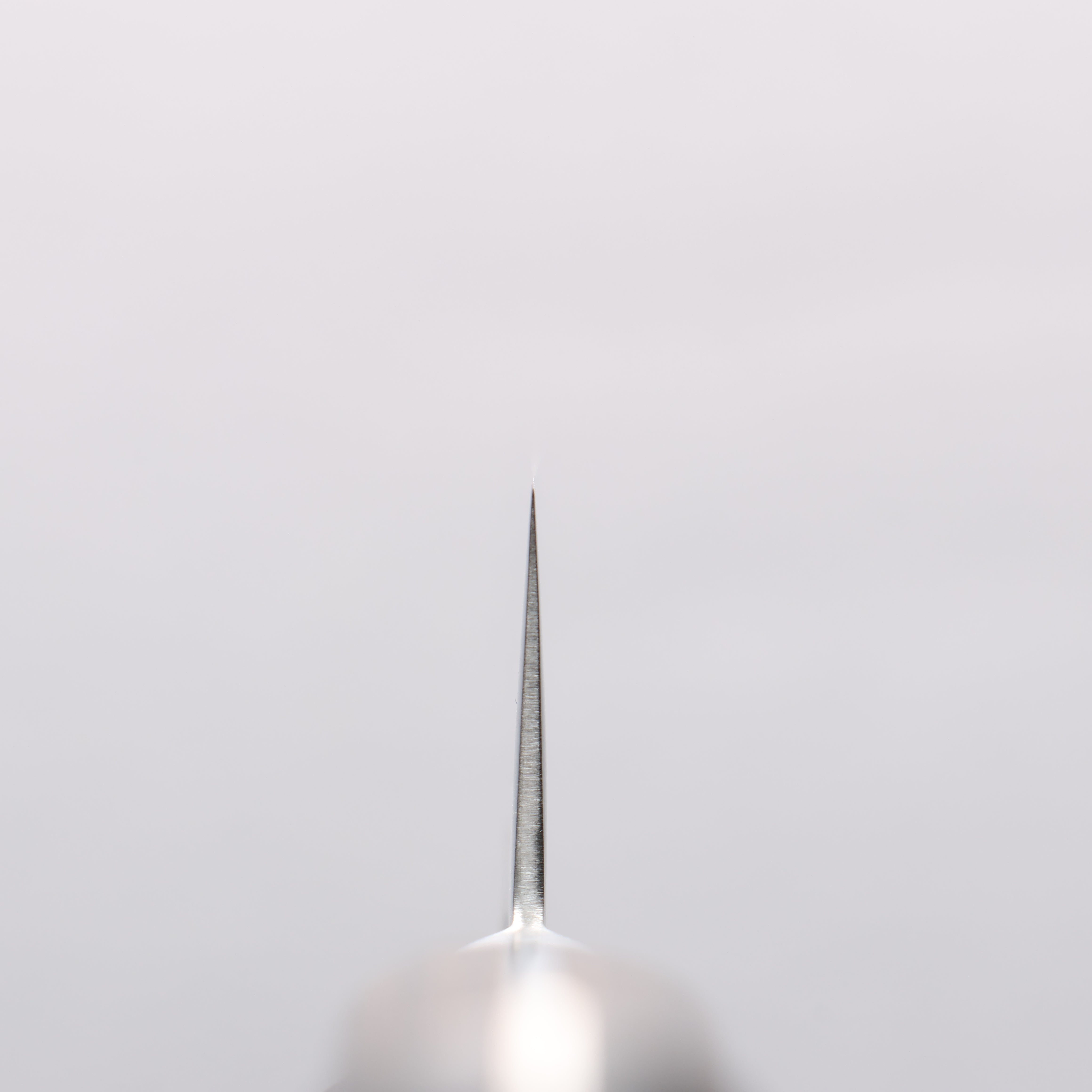 Seisuke VG10 33 Layer Mirrored Finish Damascus Sujihiki 240mm Brown Pakka wood Handle - Japanny - Best Japanese Knife