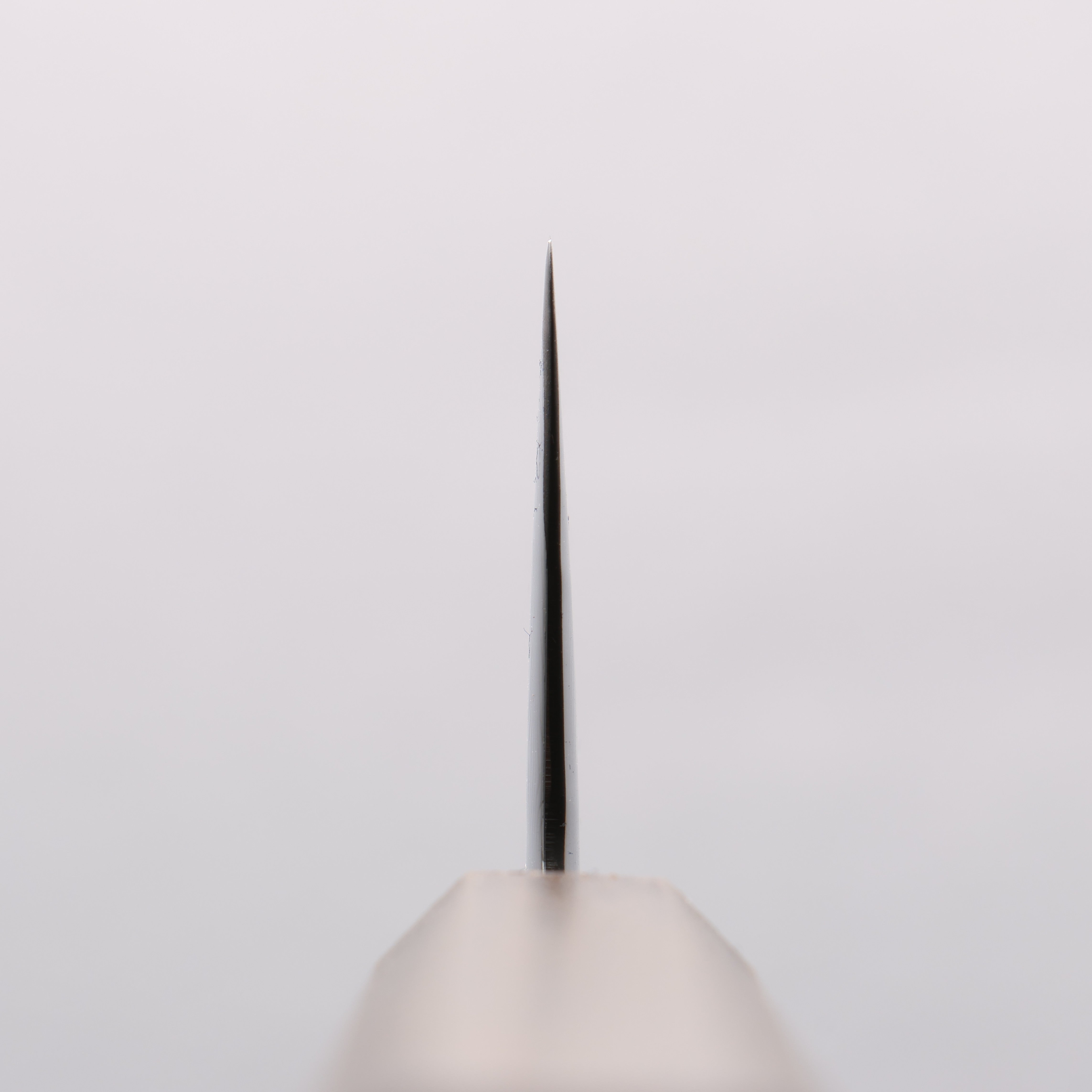 Seisuke VG10 Mirrored Finish Damascus Gyuto 240mm Oak Handle - Japanny - Best Japanese Knife