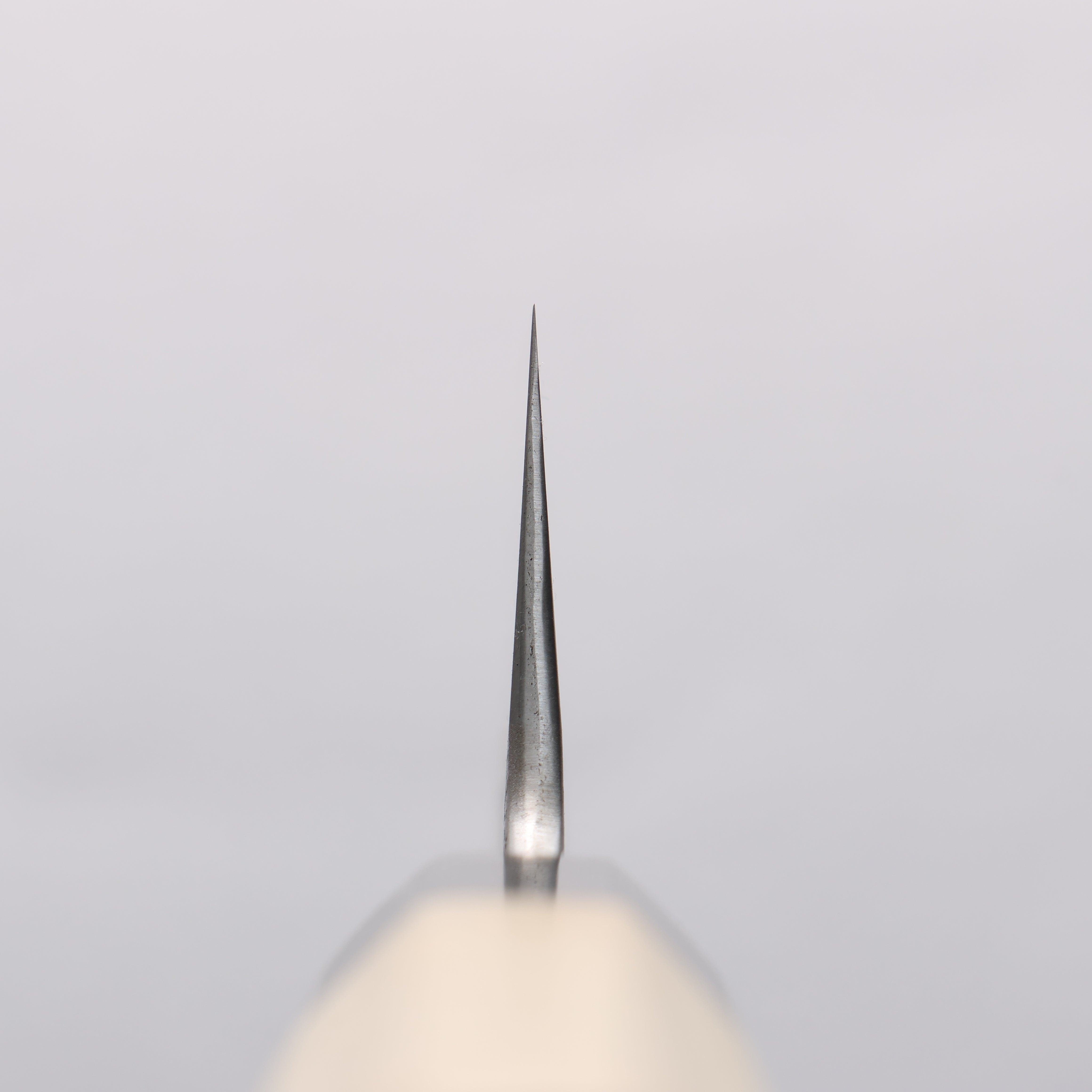 Kikuzuki White Steel No.2 Nashiji Gyuto 210mm Magnolia Handle - Japanny - Best Japanese Knife