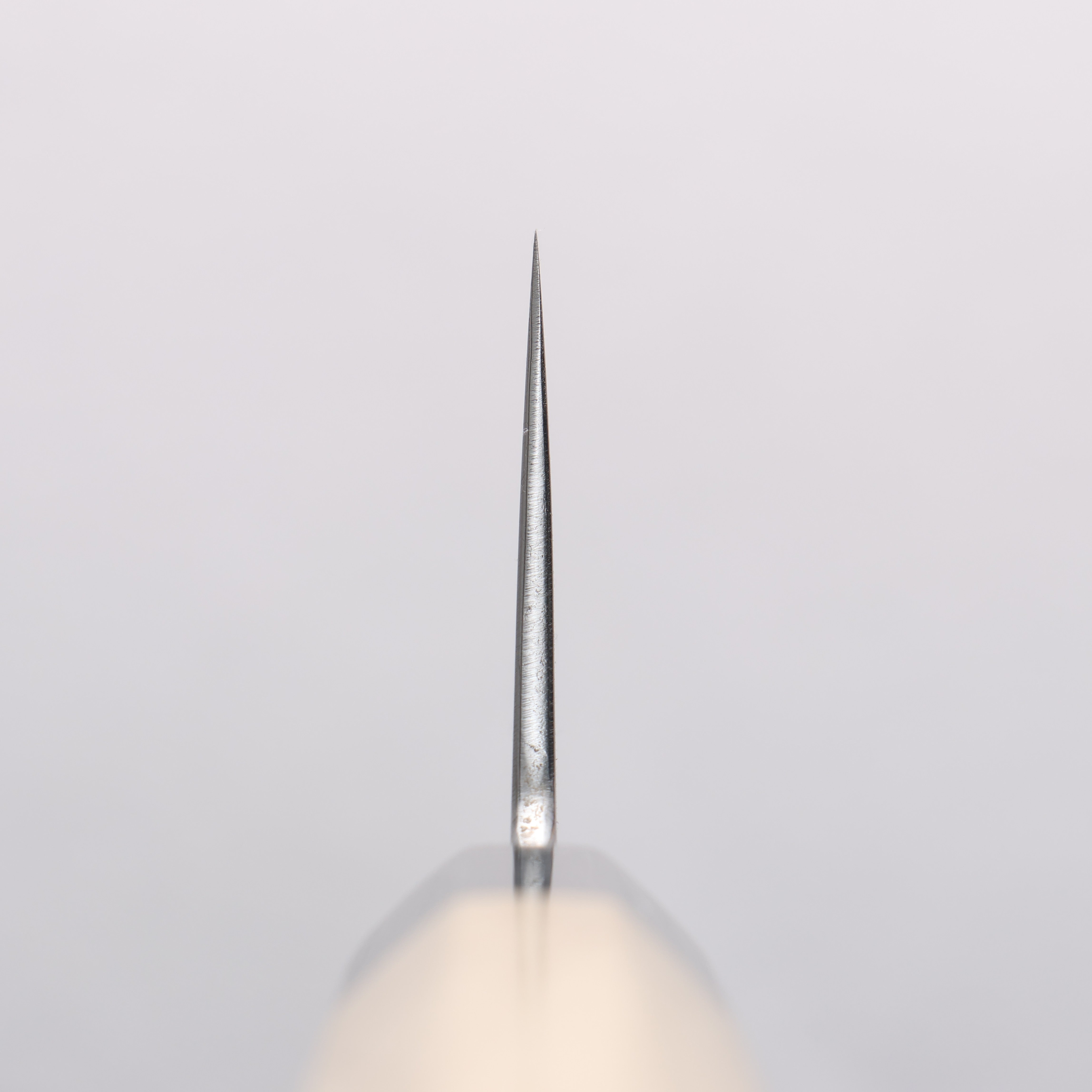 Kikuzuki Blue Steel No.1 Damascus Gyuto 240mm Magnolia Handle - Japanny - Best Japanese Knife