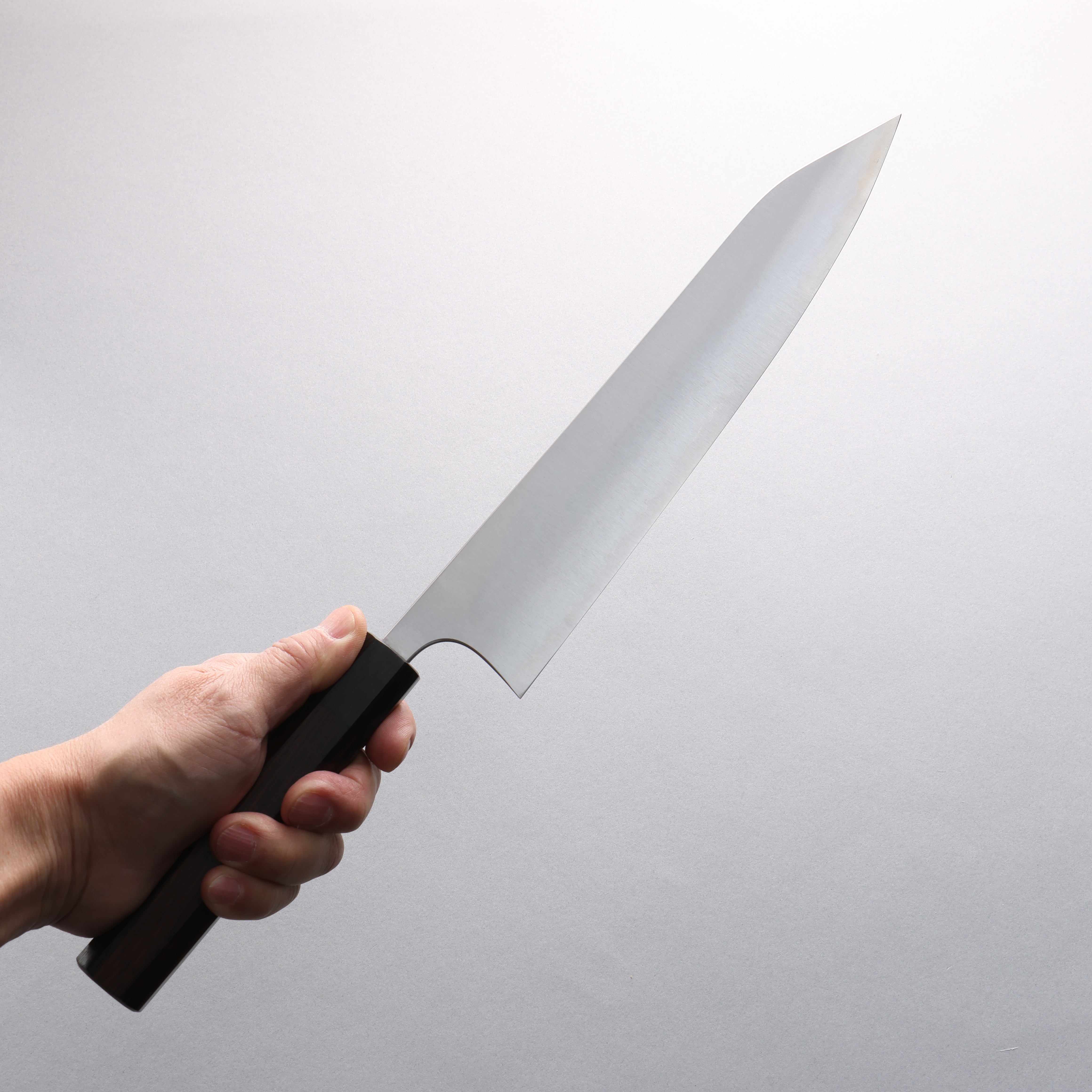 Shibata Takayuki Koutetsu SG2 Gyuto 240mm Rosewood Handle - Japanny - Best Japanese Knife