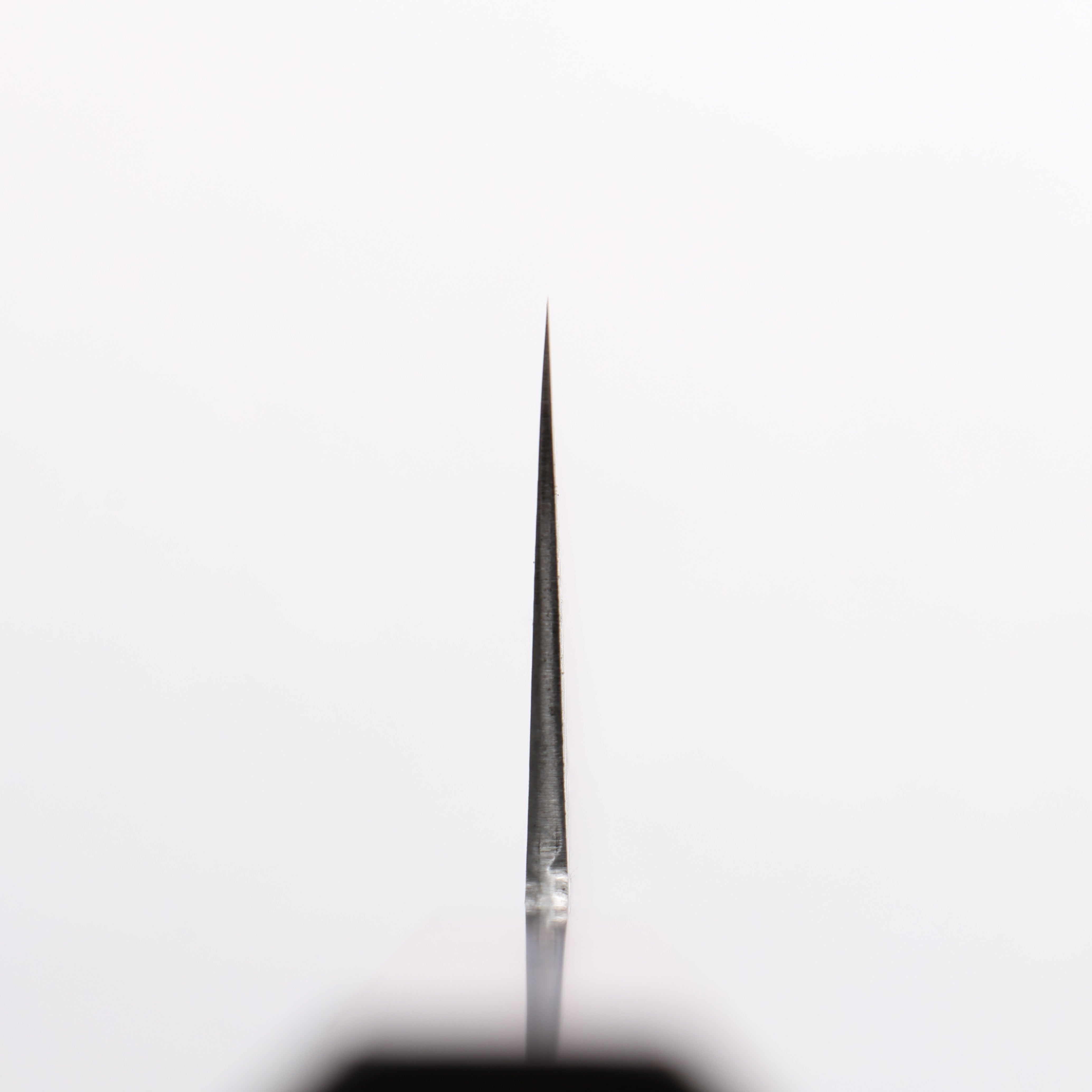Shigeki Tanaka Harukaze SG2 Damascus Gyuto 210mm Walnut Handle - Japanny - Best Japanese Knife