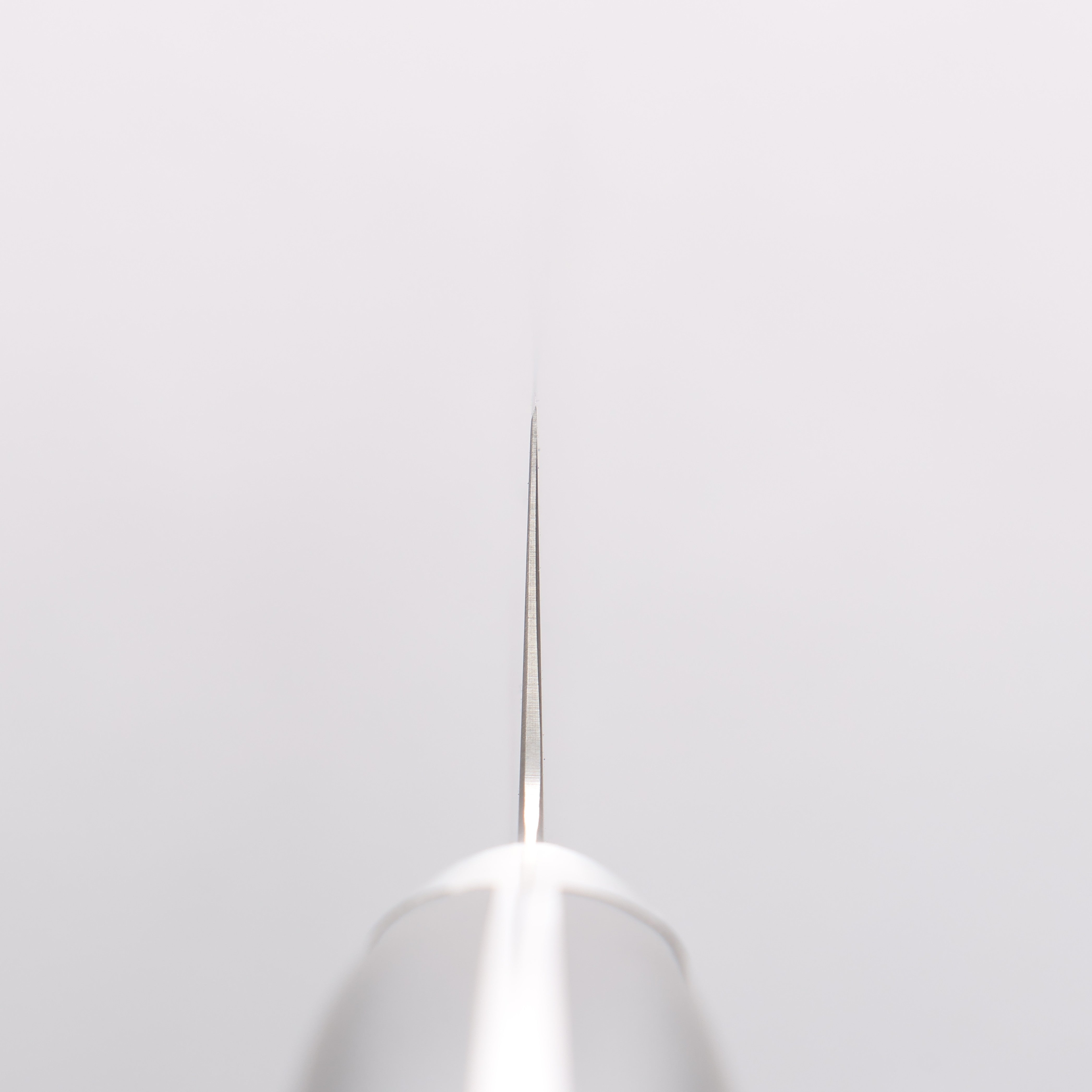 Sakai Takayuki Coreless Damascus Kengata Yanagiba 260mm Black Micarta Handle - Japanny - Best Japanese Knife