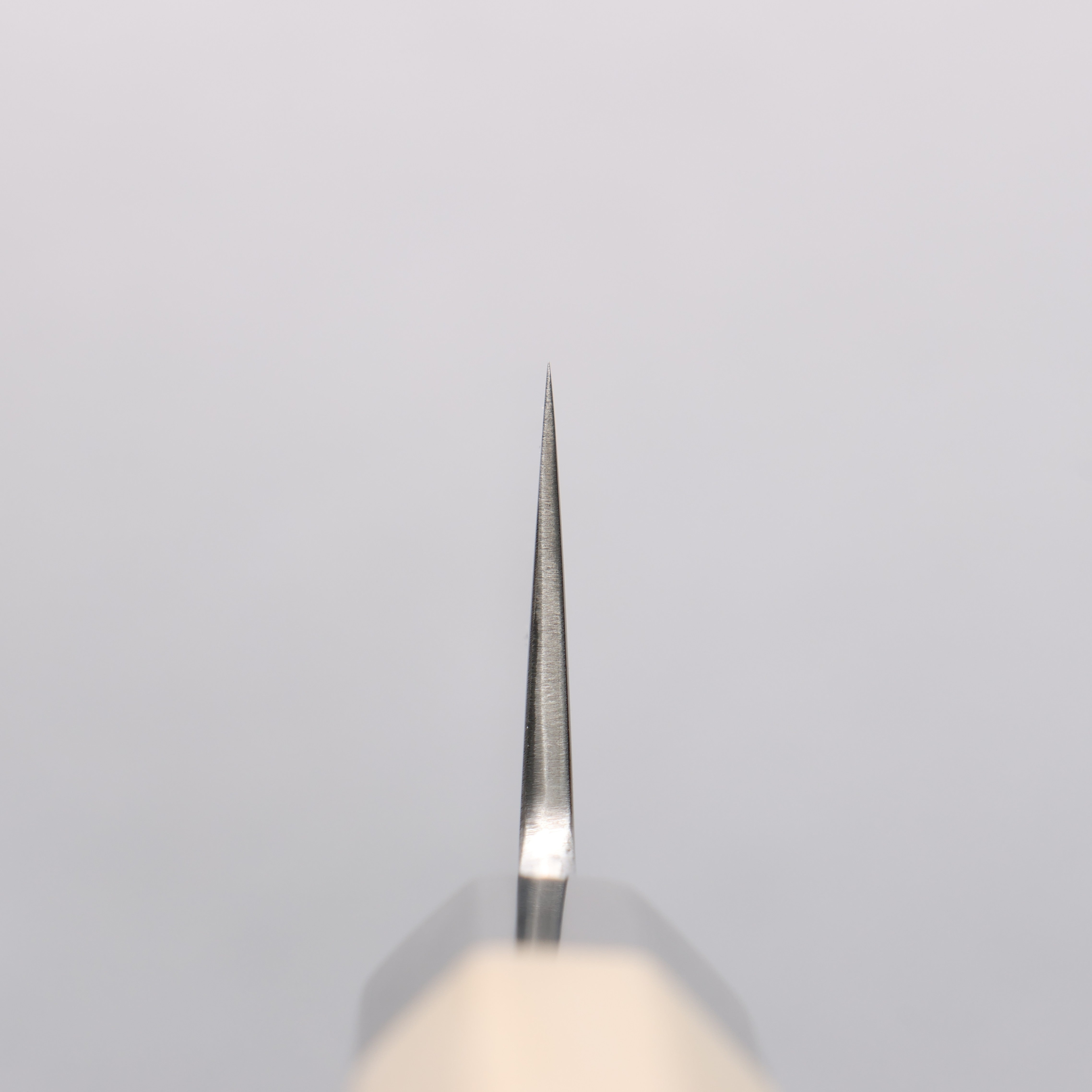 Kikuzuki Silver Steel No.3 Bokashi Kiritsuke Gyuto 210mm Magnolia Handle - Japanny - Best Japanese Knife