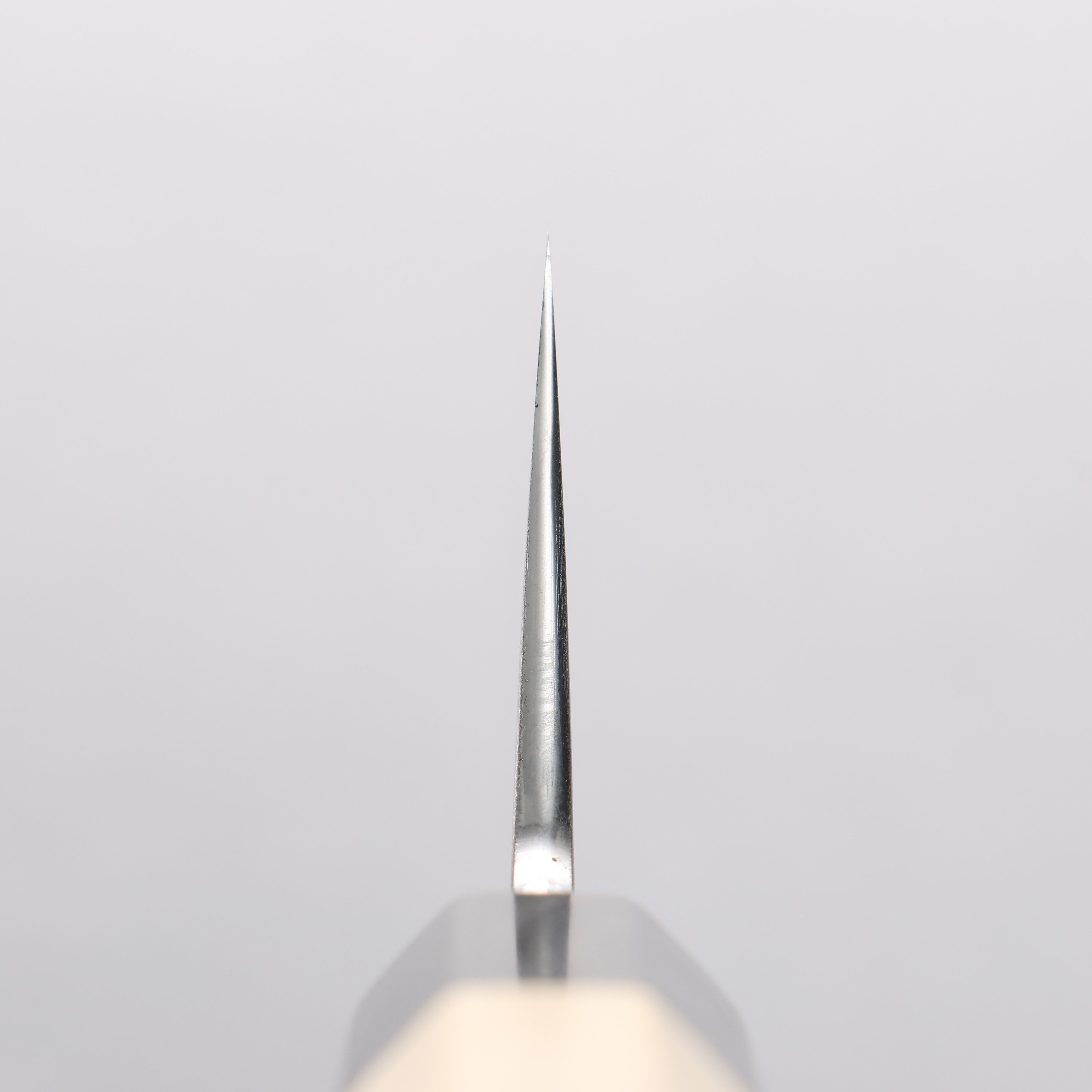 Kikuzuki Silver Steel No.3 Bokashi Gyuto 210mm Magnolia Handle - Japanny - Best Japanese Knife