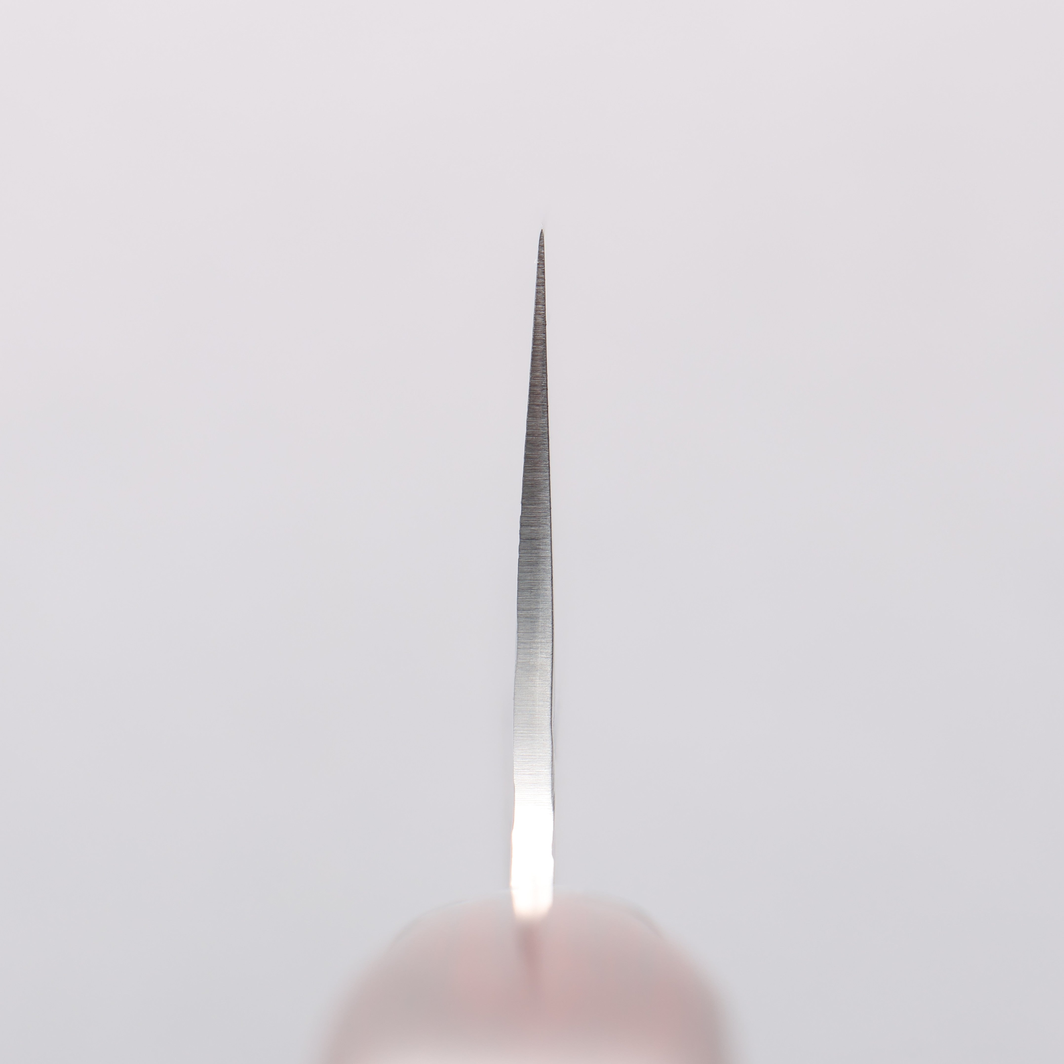 Sakai Takayuki VG10 33 Layer Damascus Gyuto 210mm Mahogany Pakka wood Handle - Japanny - Best Japanese Knife