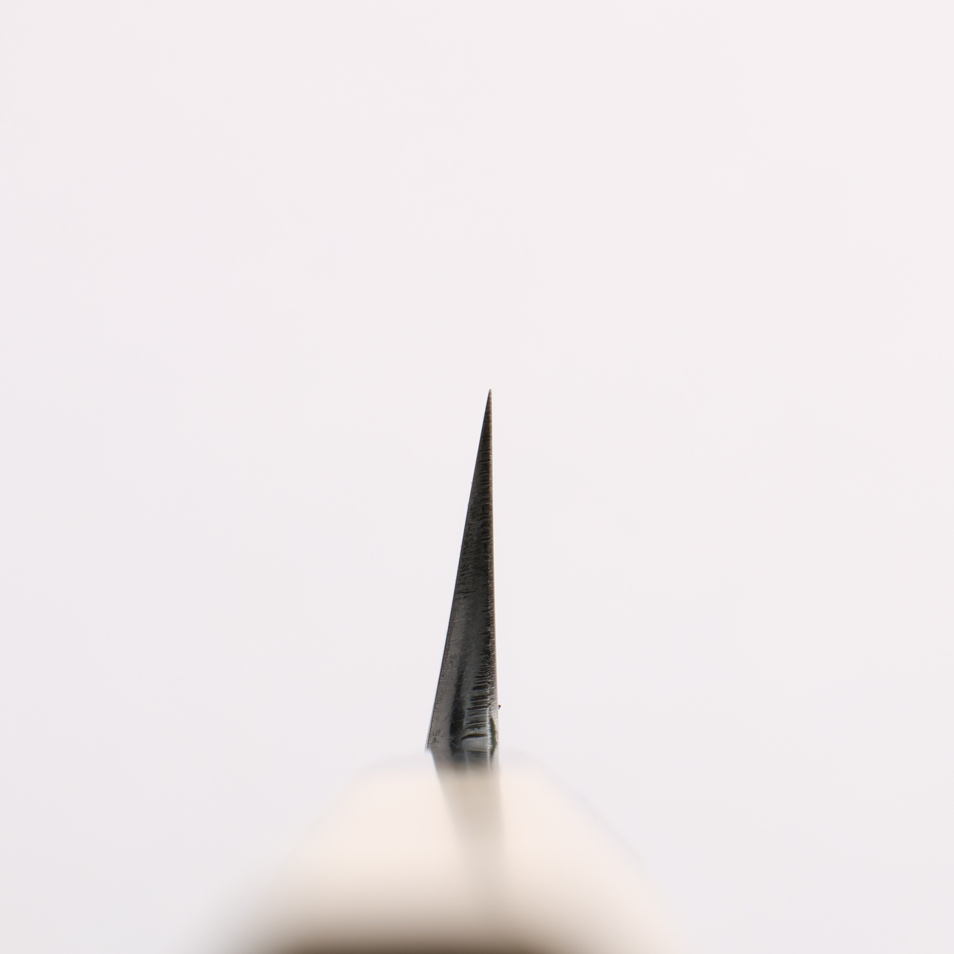 Minamoto Akitada White Steel No.2 Yanagiba 300mm Magnolia (Ferrule: Water Buffalo Horn) Handle - Japanny - Best Japanese Knife