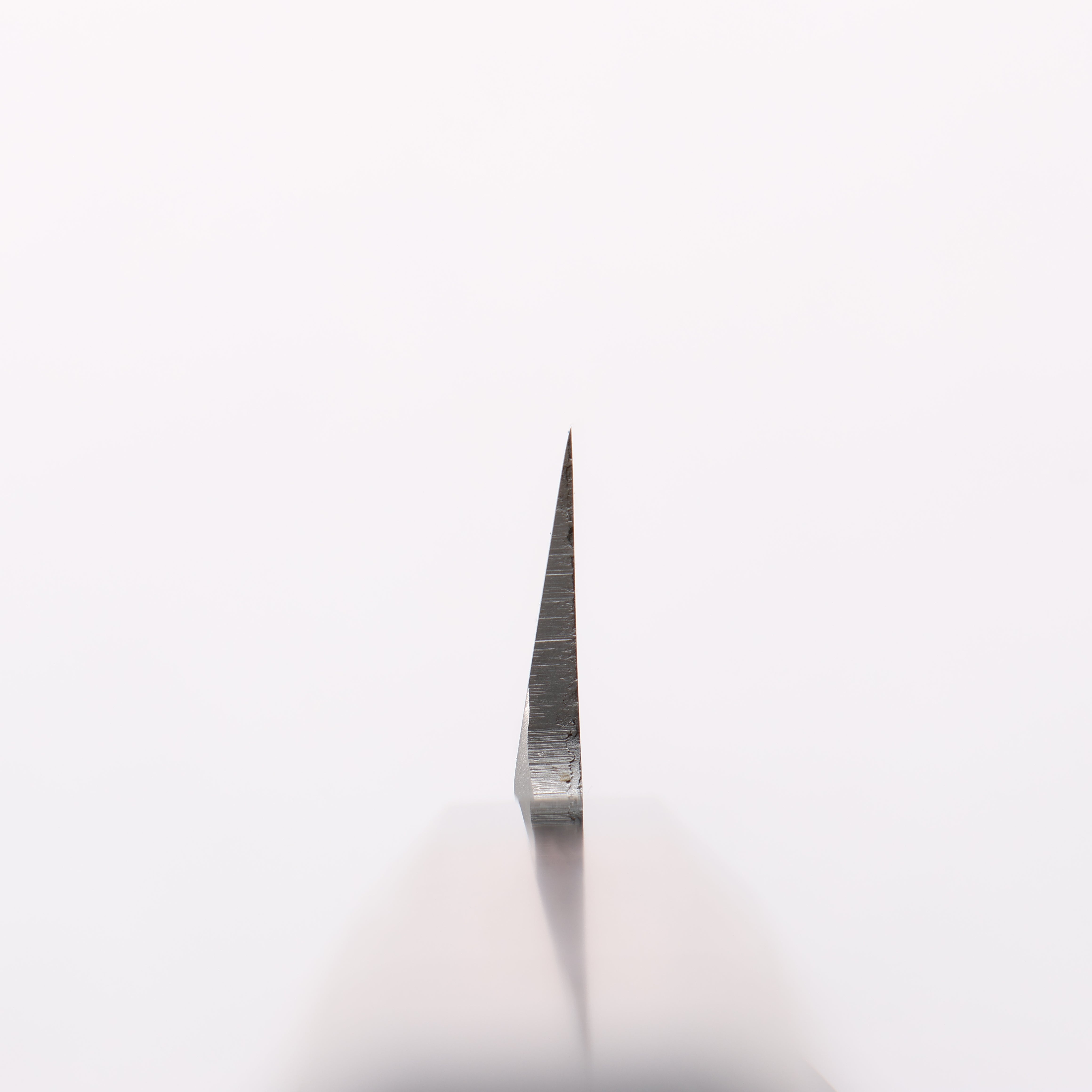 Sakai Takayuki Molybdenum Yanagiba Wenge with Double Water Buffalo Ring Handle - Japanny - Best Japanese Knife