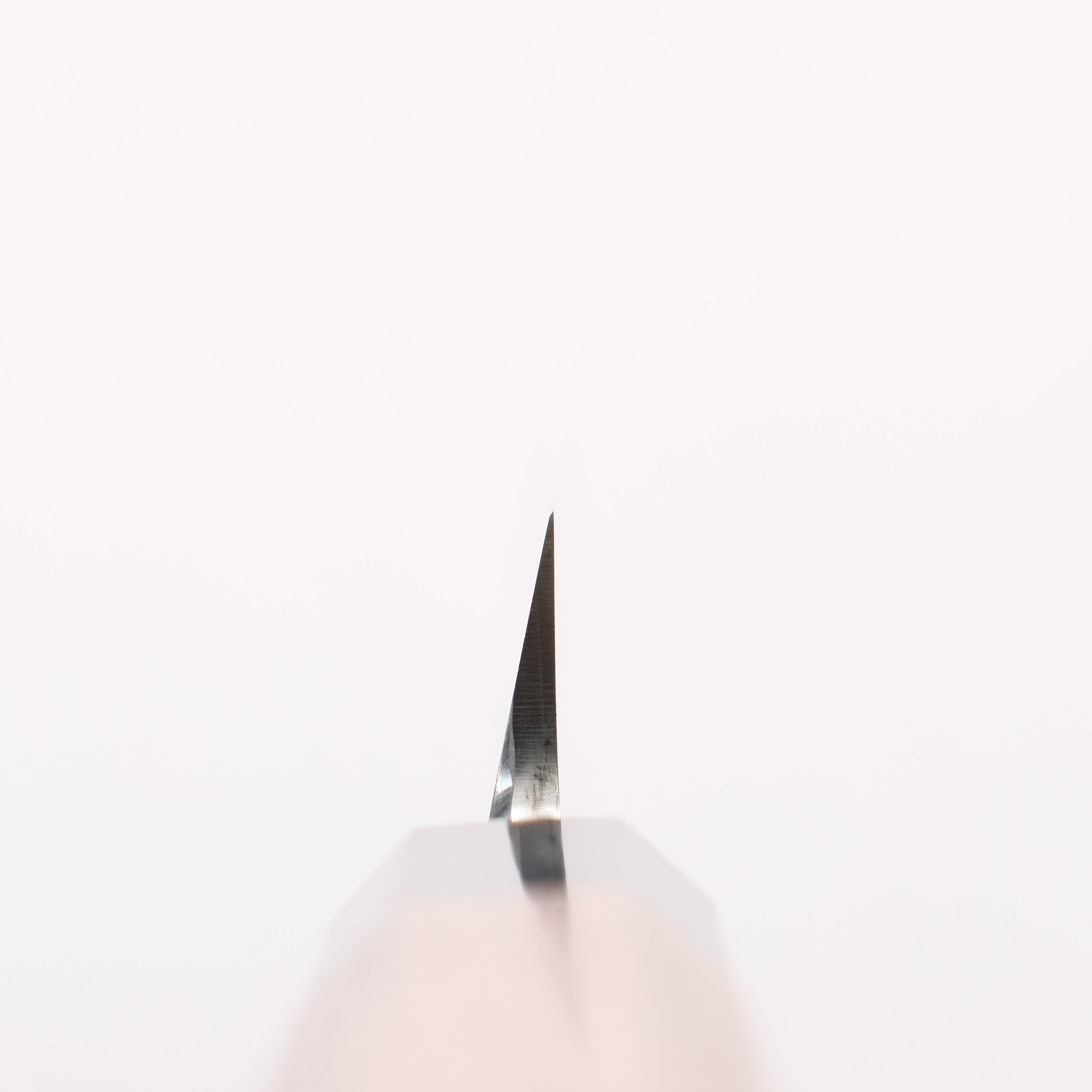 Sakai Takayuki Chef Series Silver Steel No.3 Yanagiba Wenge with Double Water Buffalo Ring Handle - Japanny - Best Japanese Knife