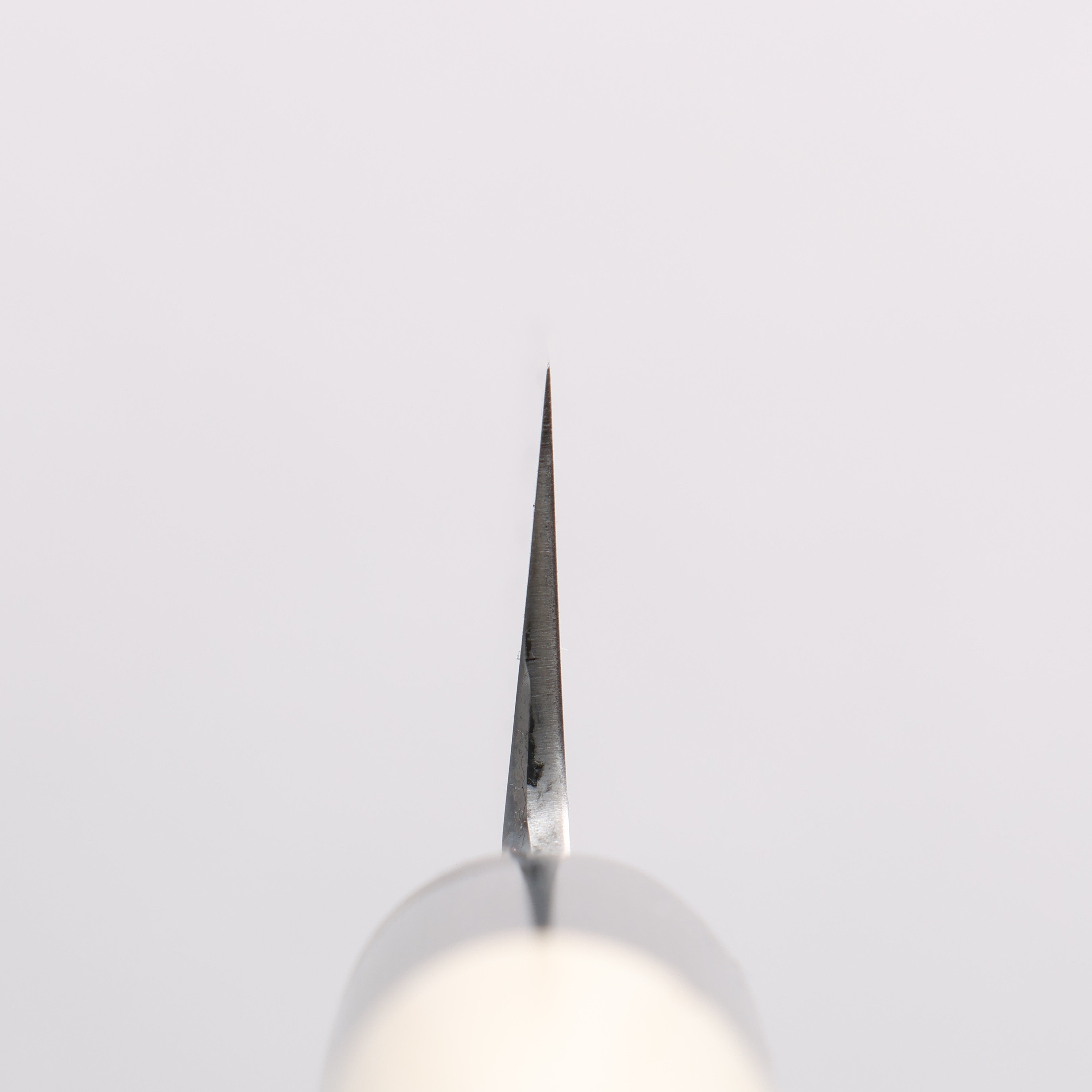 Sakai Takayuki Tokujyo White Steel No.2 Petty-Utility 180mm Magnolia Handle - Japanny - Best Japanese Knife