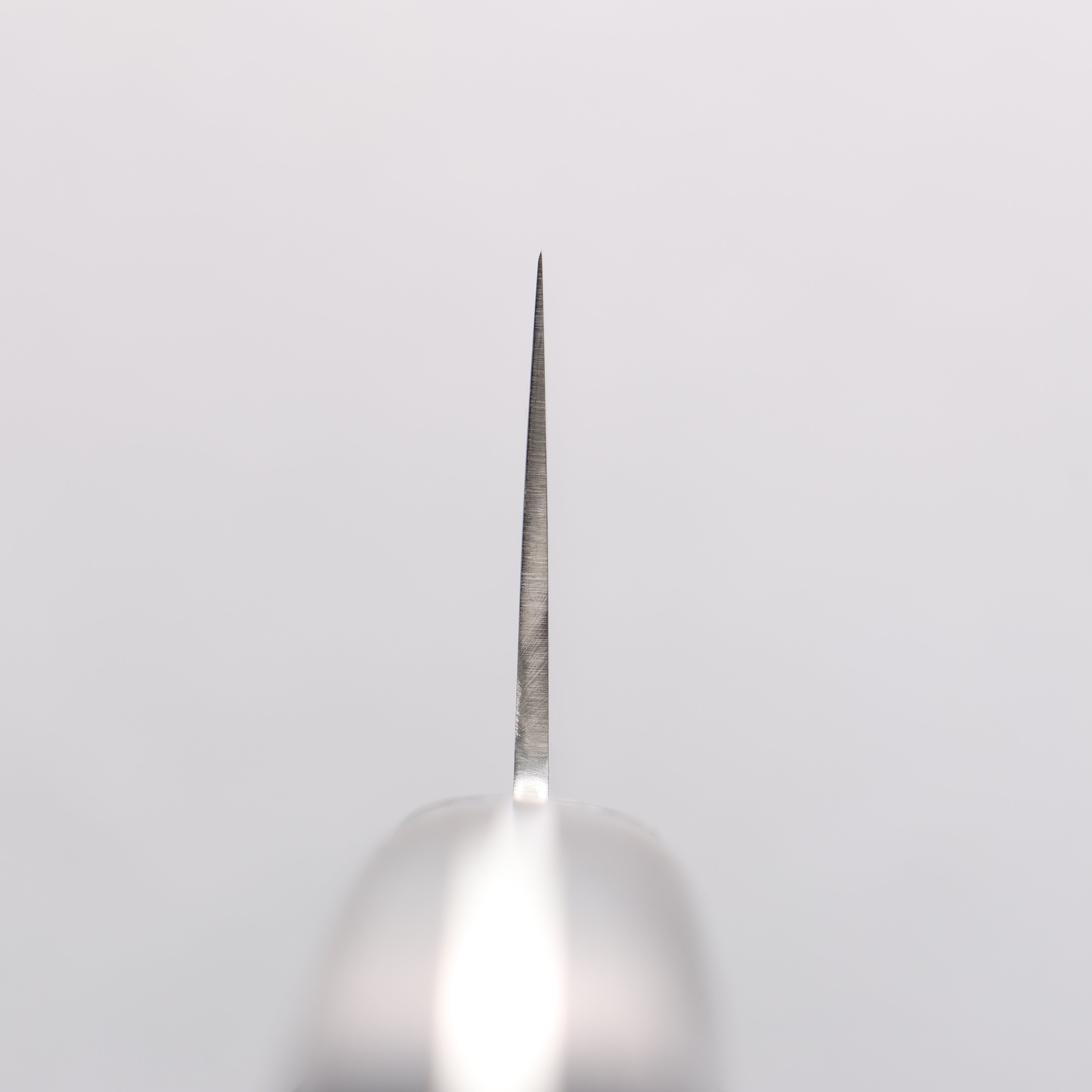 Seisuke VG10 8 Layer Damascus Migaki Finished Santoku 165mm Black Pakka wood Handle - Japanny - Best Japanese Knife