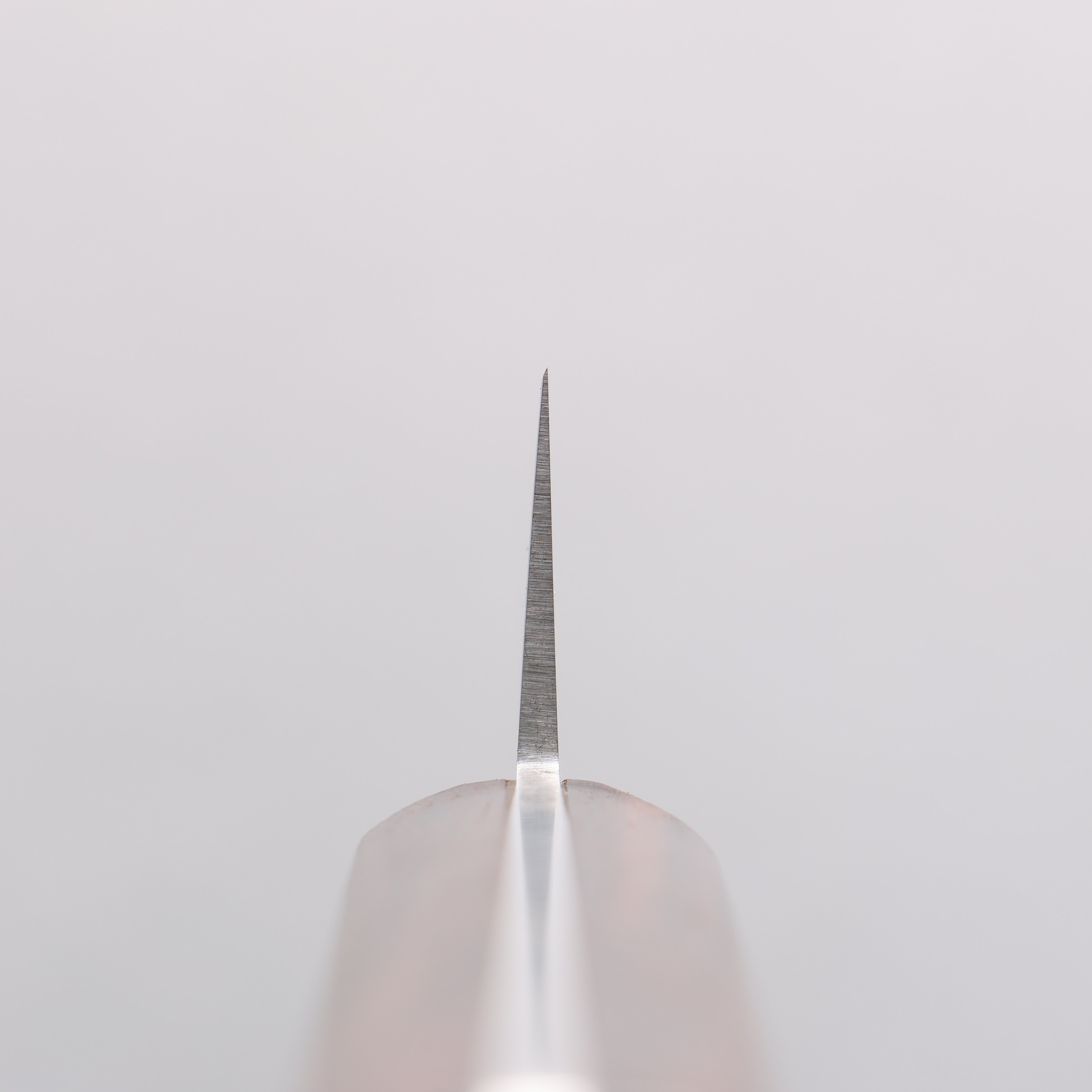 Seisuke Sanzoku Japanese Steel Honesuki Boning 150mm Shitan Handle - Japanny - Best Japanese Knife