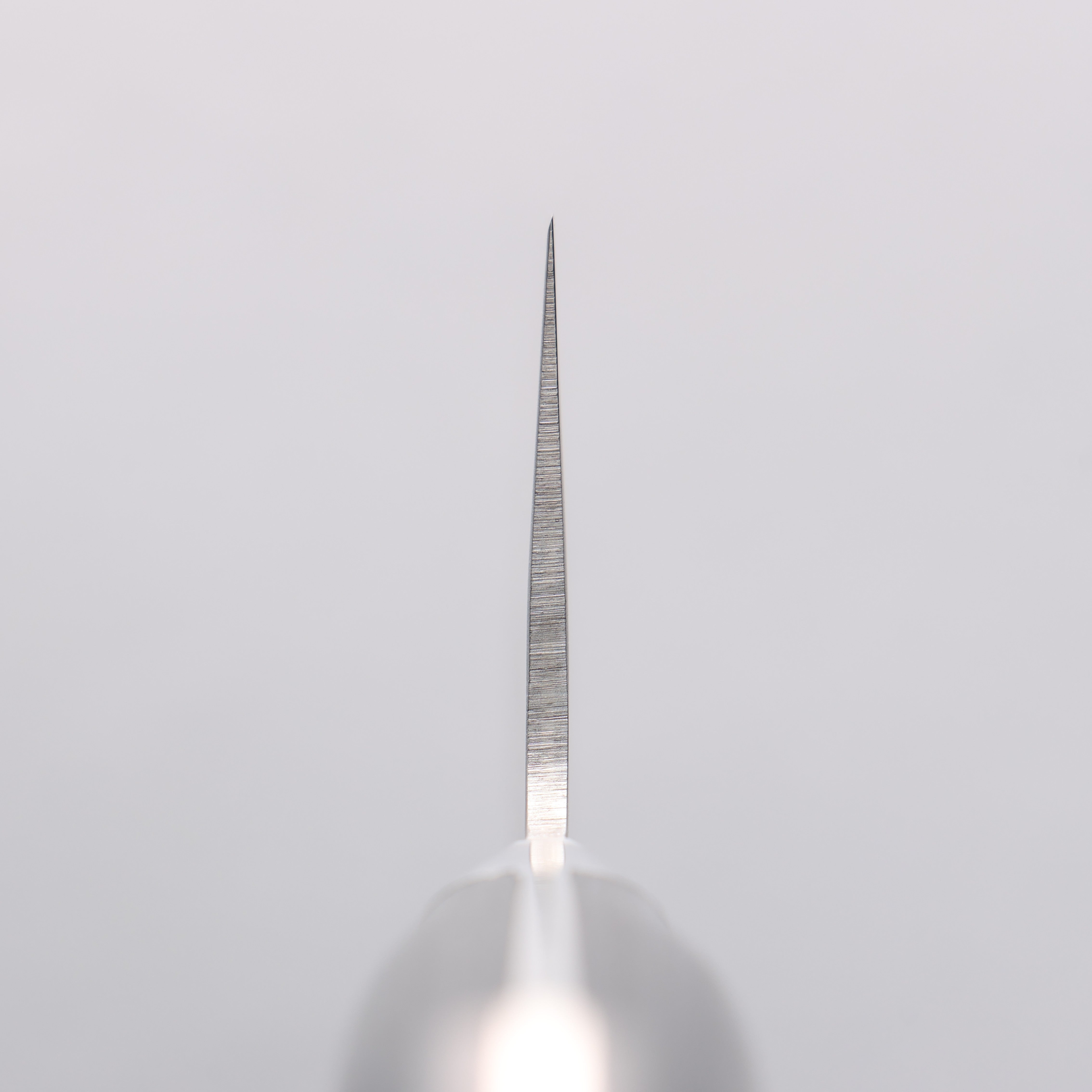 Seisuke Blue Steel No.2 Nashiji Japanese Kiritsuke Santoku & Kiritsuke Petty Navy blue Pakka wood Handle - Japanny - Best Japanese Knife