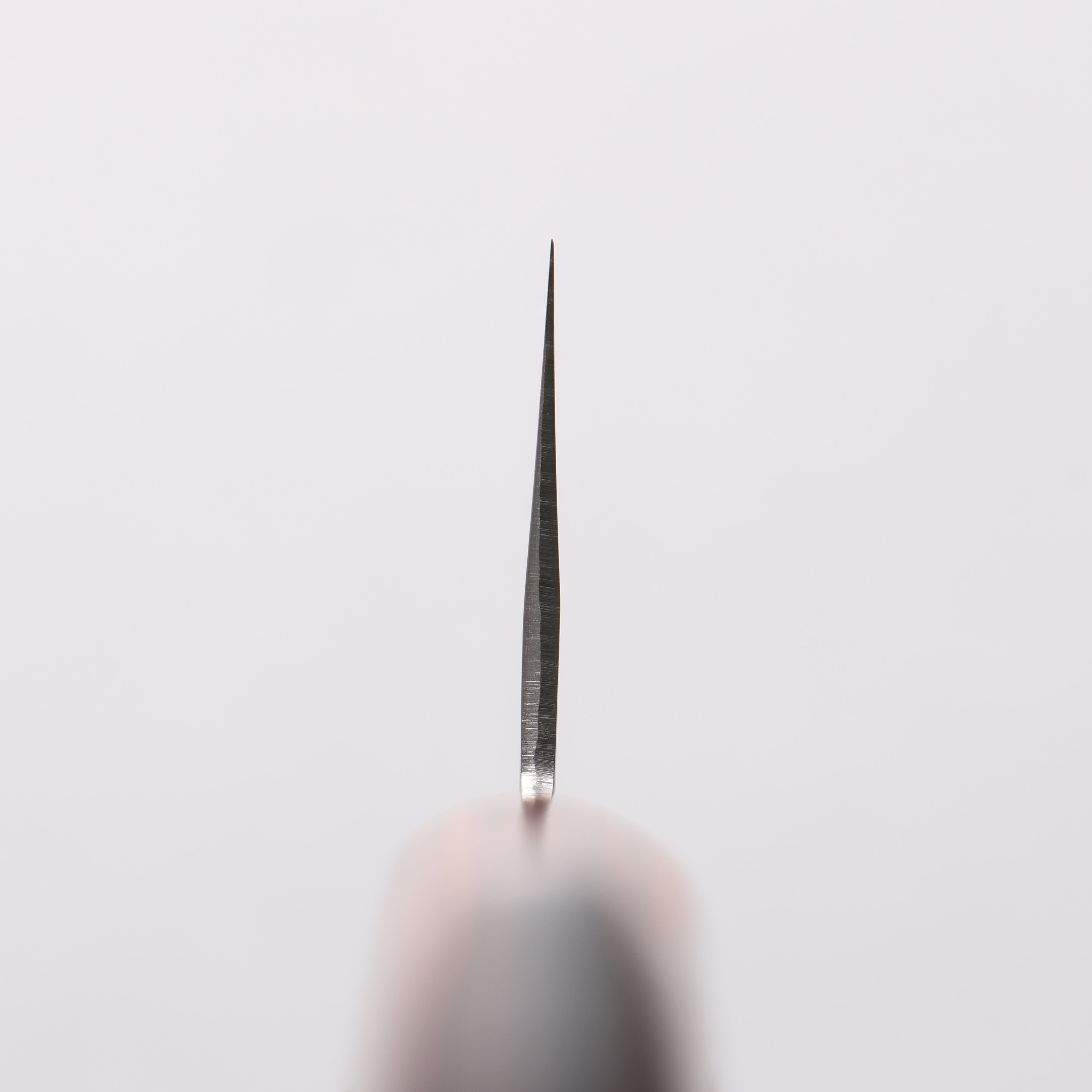 Seisuke VG1 Hammered Santoku 165mm Mahogany Handle - Japanny - Best Japanese Knife