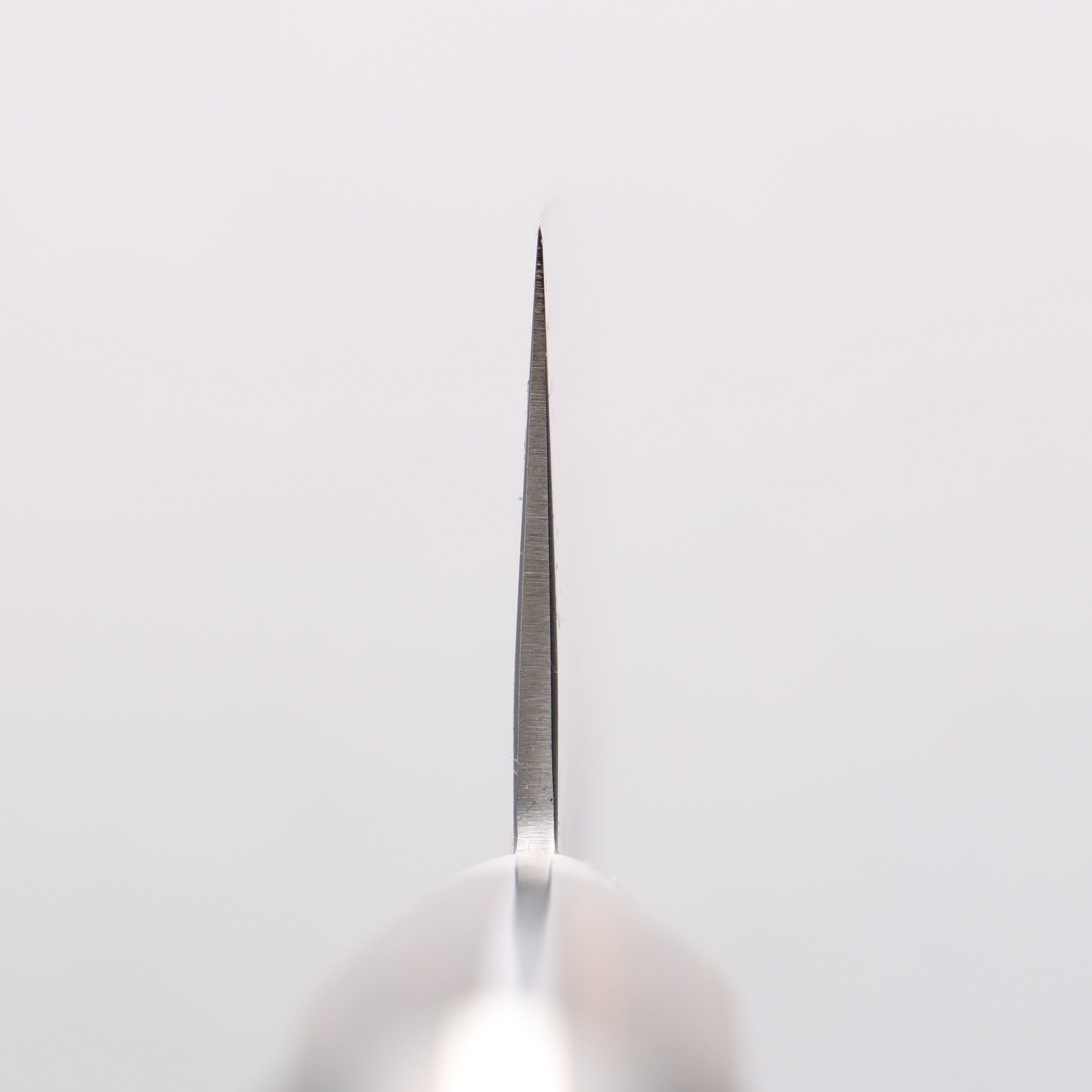 Seisuke Silver Steel No.3 Nashiji Gyuto 210mm Brown Pakka wood Handle - Japanny - Best Japanese Knife