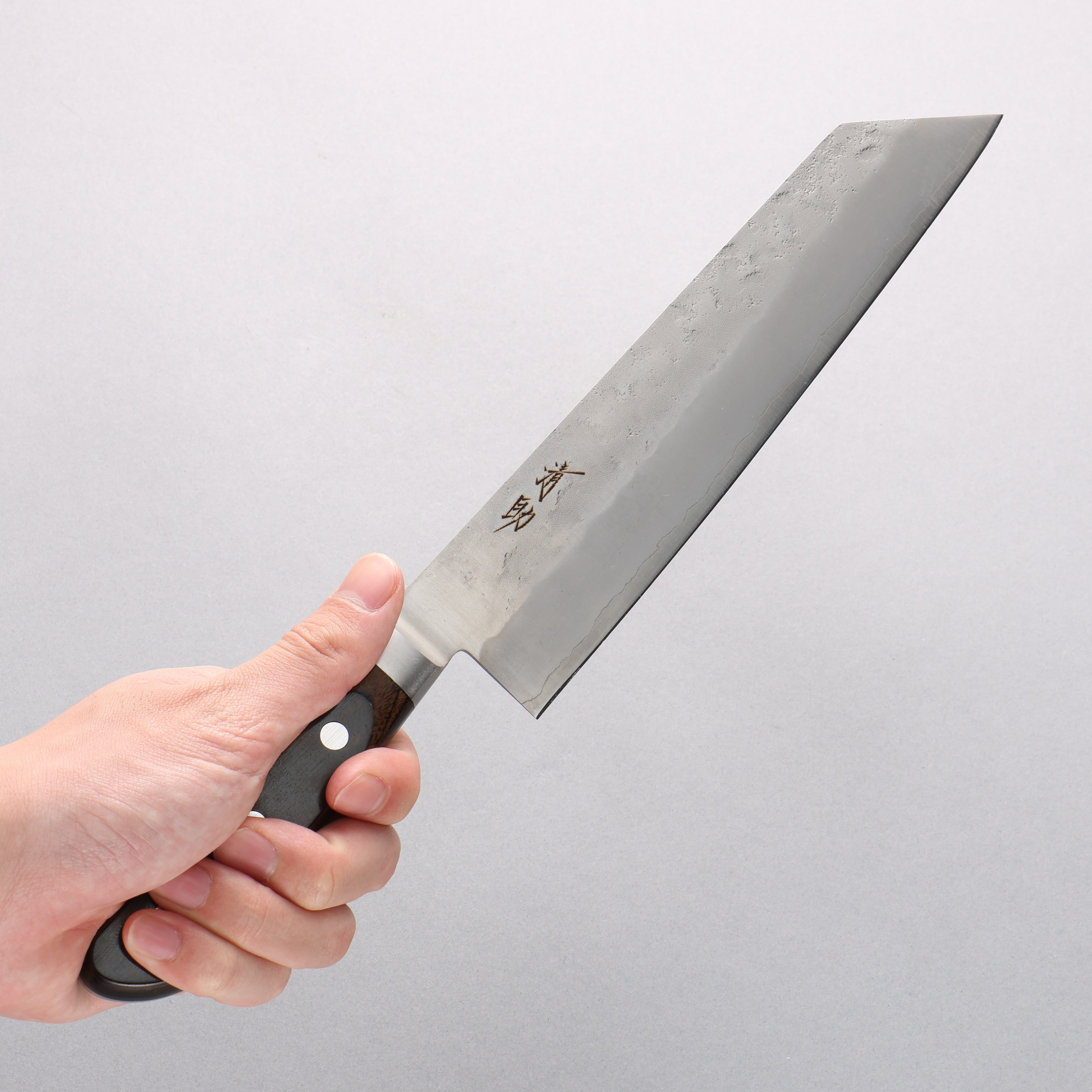 Seisuke Silver Steel No.3 Nashiji Kiritsuke Gyuto 210mm Brown Pakka wood Handle - Japanny - Best Japanese Knife