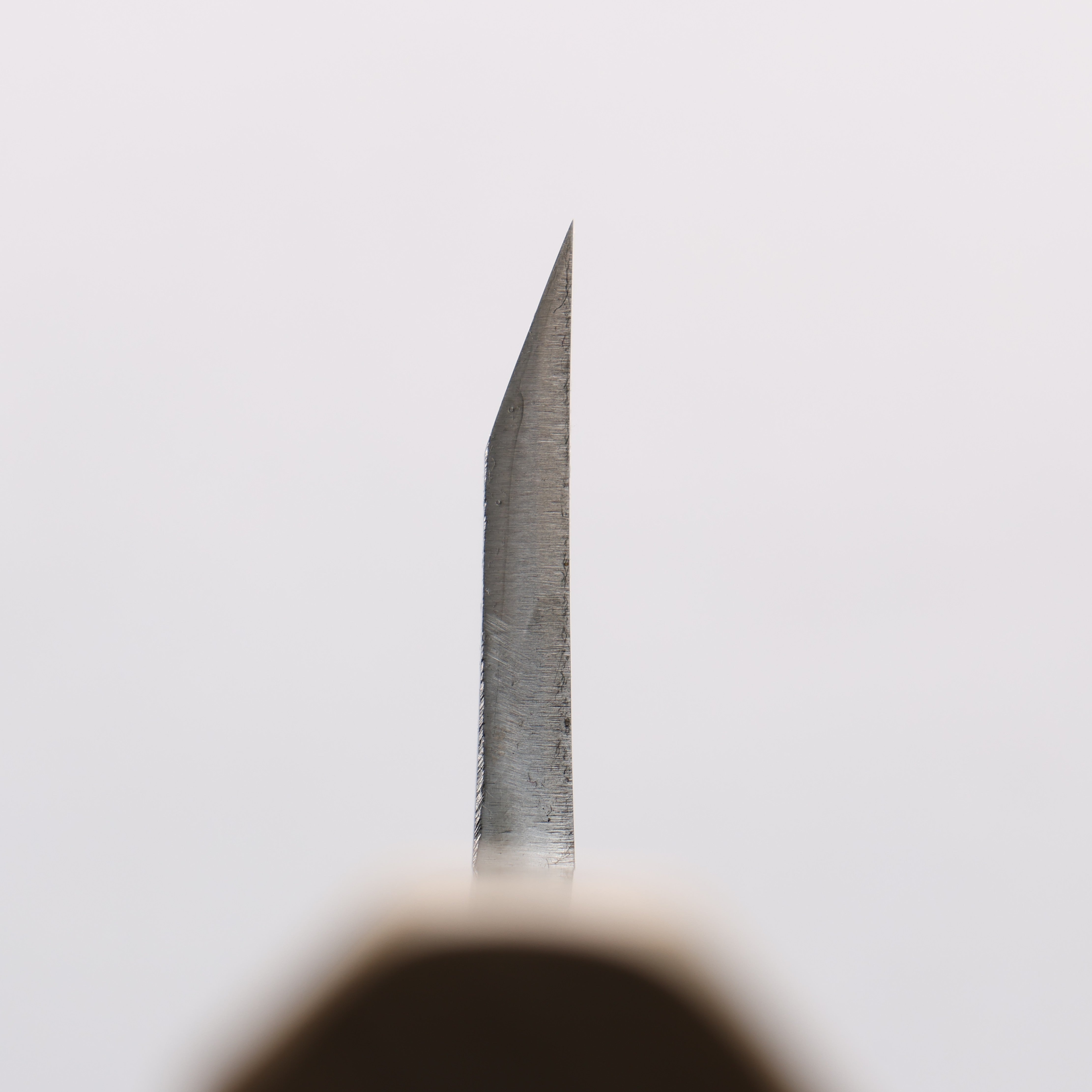 Minamoto Akitada Blue Steel No.2 Aideba 165mm Magnolia (Ferrule: Water Buffalo Horn) Handle - Japanny - Best Japanese Knife