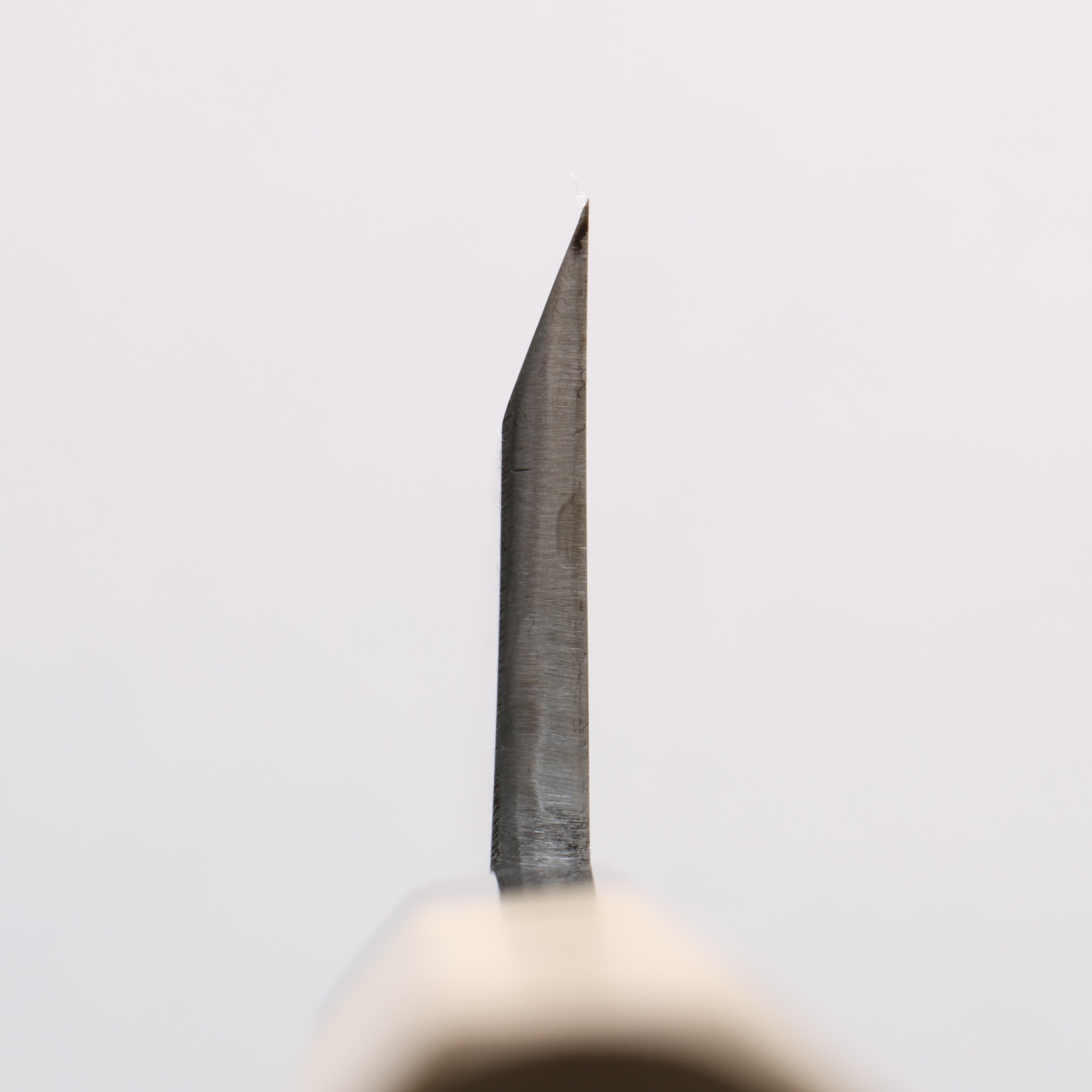 Minamoto Akitada Blue Steel No.2 Aideba 180mm Magnolia (Ferrule: Water Buffalo Horn) Handle - Japanny - Best Japanese Knife