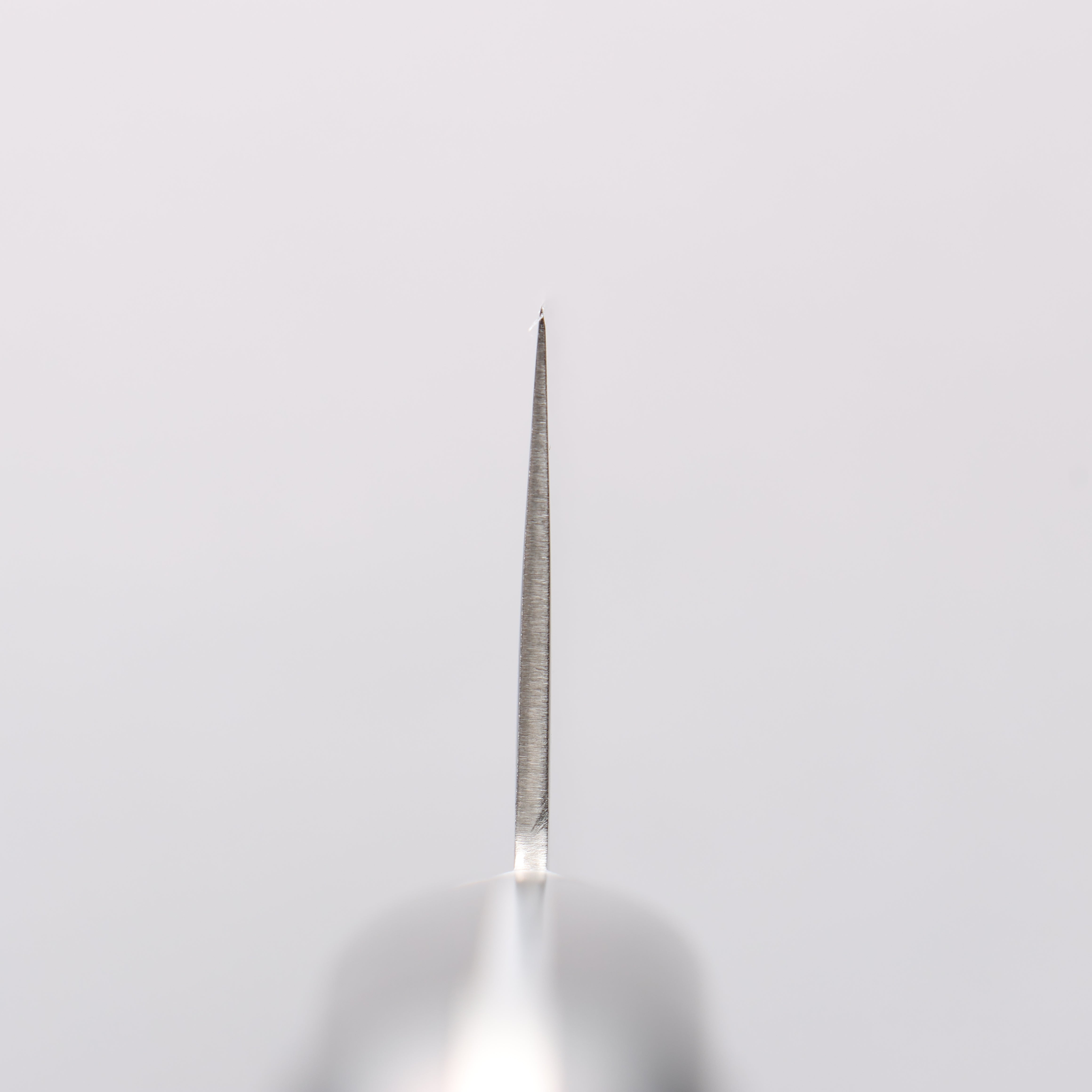 Seisuke Nami AUS10 Mirrored Finish Damascus Gyuto 240mm Black Pakka wood Handle - Japanny - Best Japanese Knife