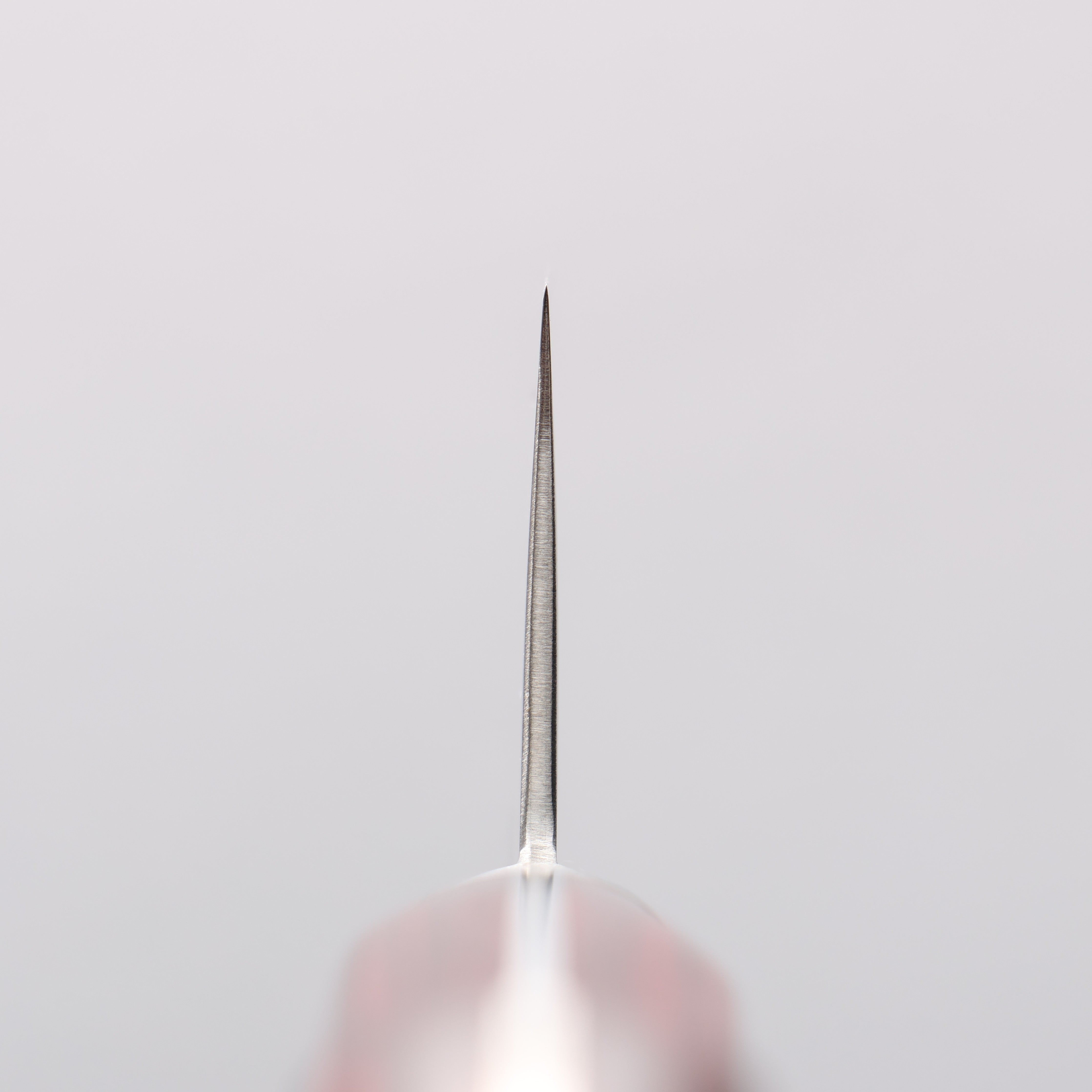 Seisuke VG10 33 Layer Mirrored Finish Damascus Gyuto 240mm Red Pakka wood Handle - Japanny - Best Japanese Knife