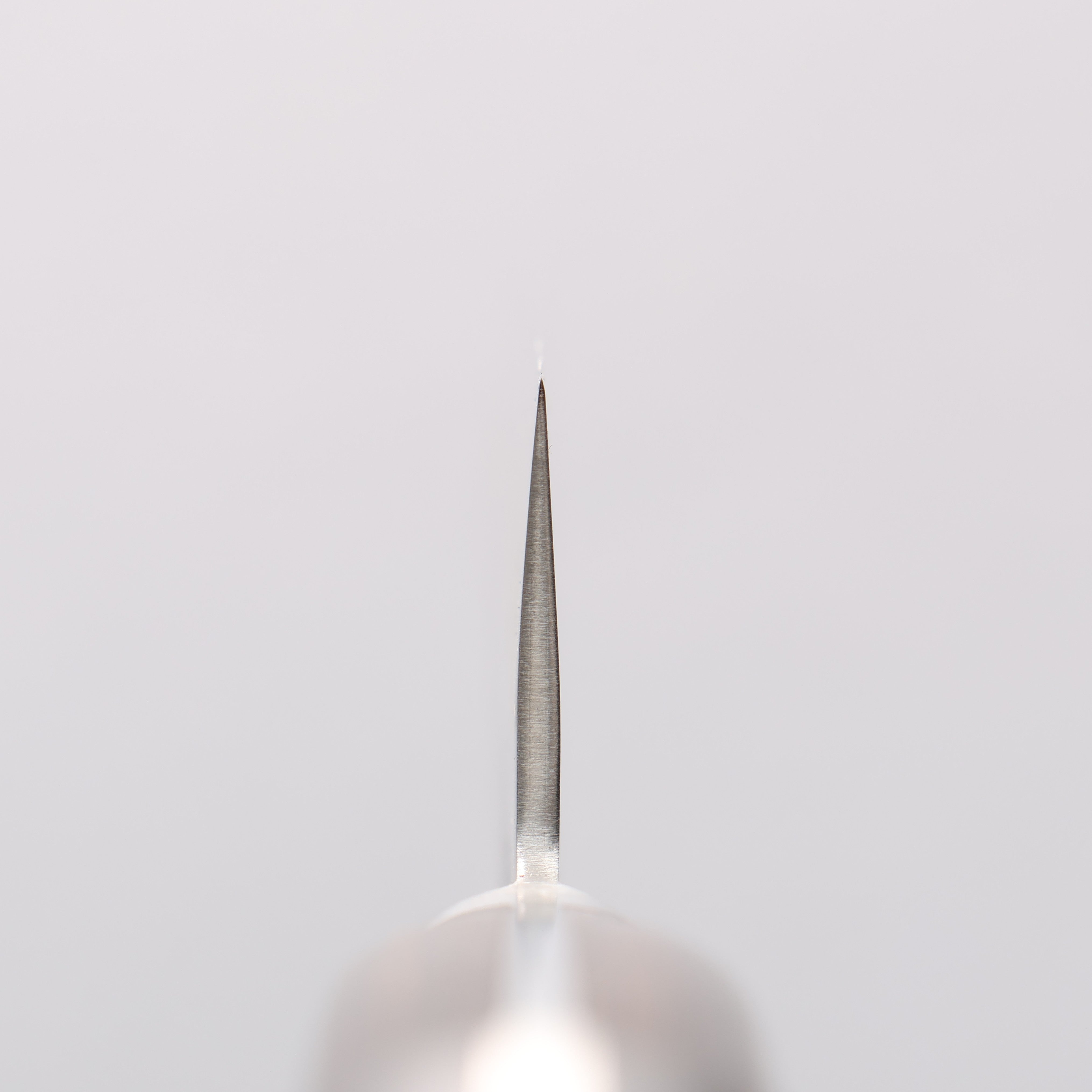 Seisuke Silver Steel No.3 Nashiji Sujihiki 240mm Brown Pakka wood Handle - Japanny - Best Japanese Knife