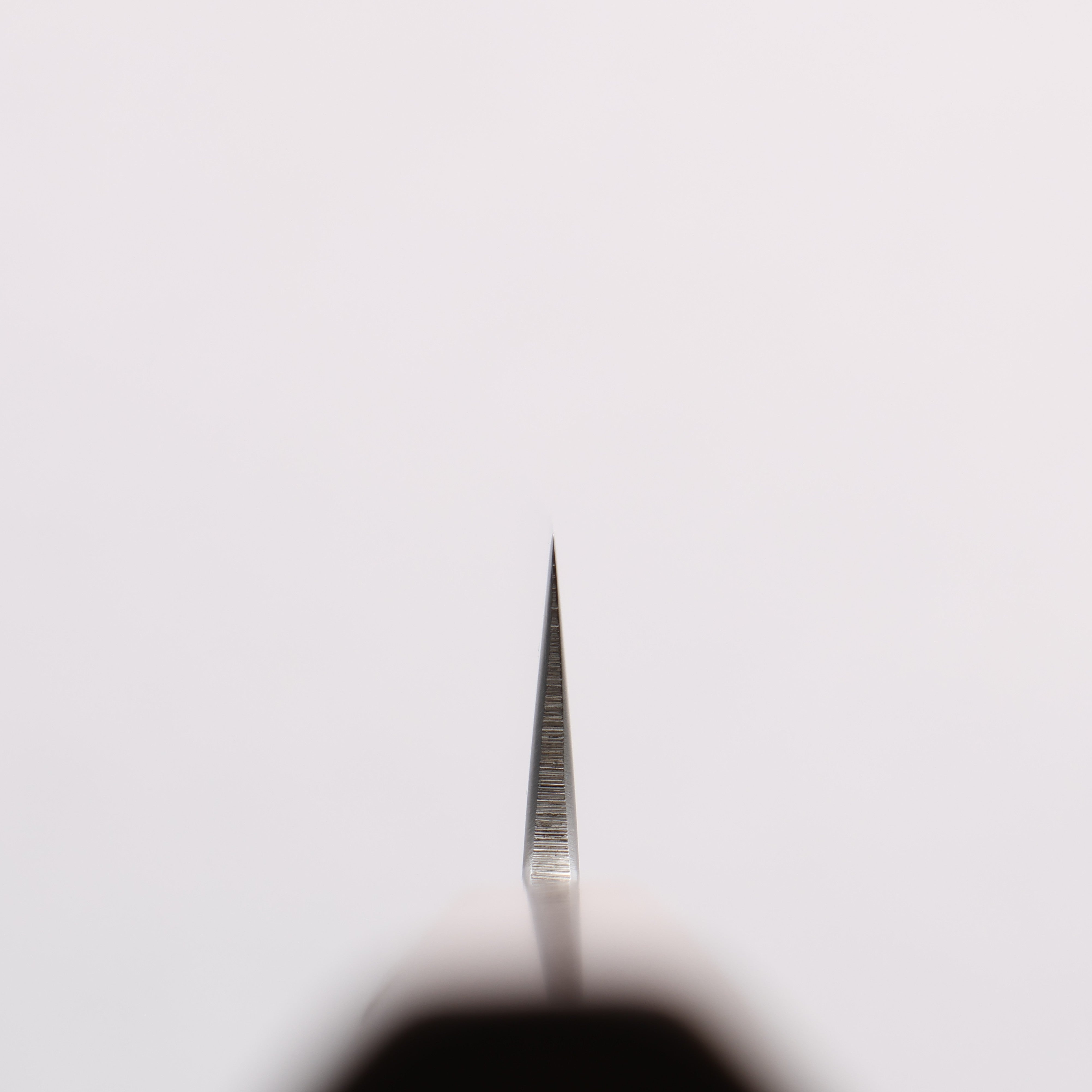 Kurotori Silver Steel No.3 Migaki Finished Bonito Knife 210mm Walnut Handle - Japanny - Best Japanese Knife