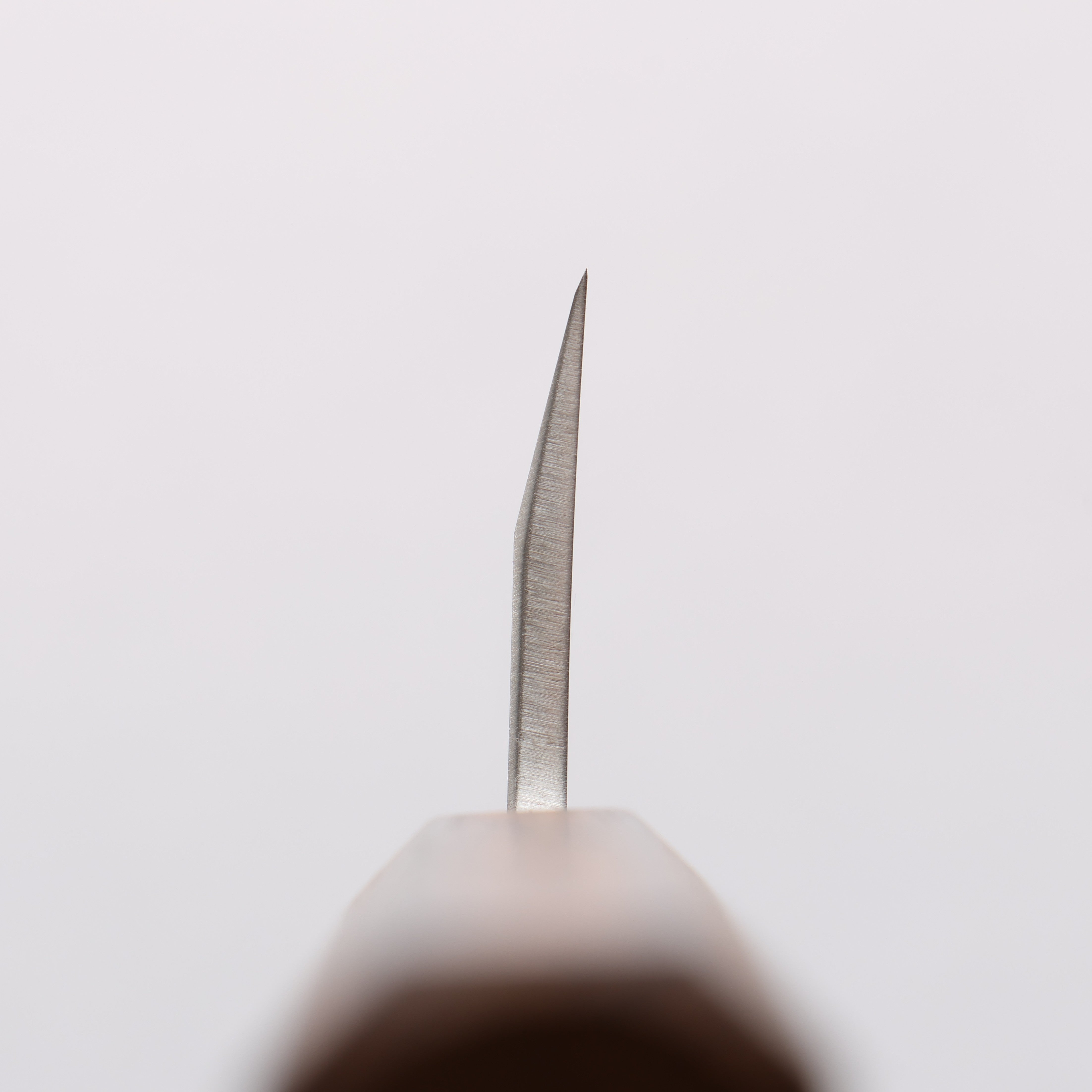 Seisuke AUS8 Deba 120mm Oak Handle - Japanny - Best Japanese Knife