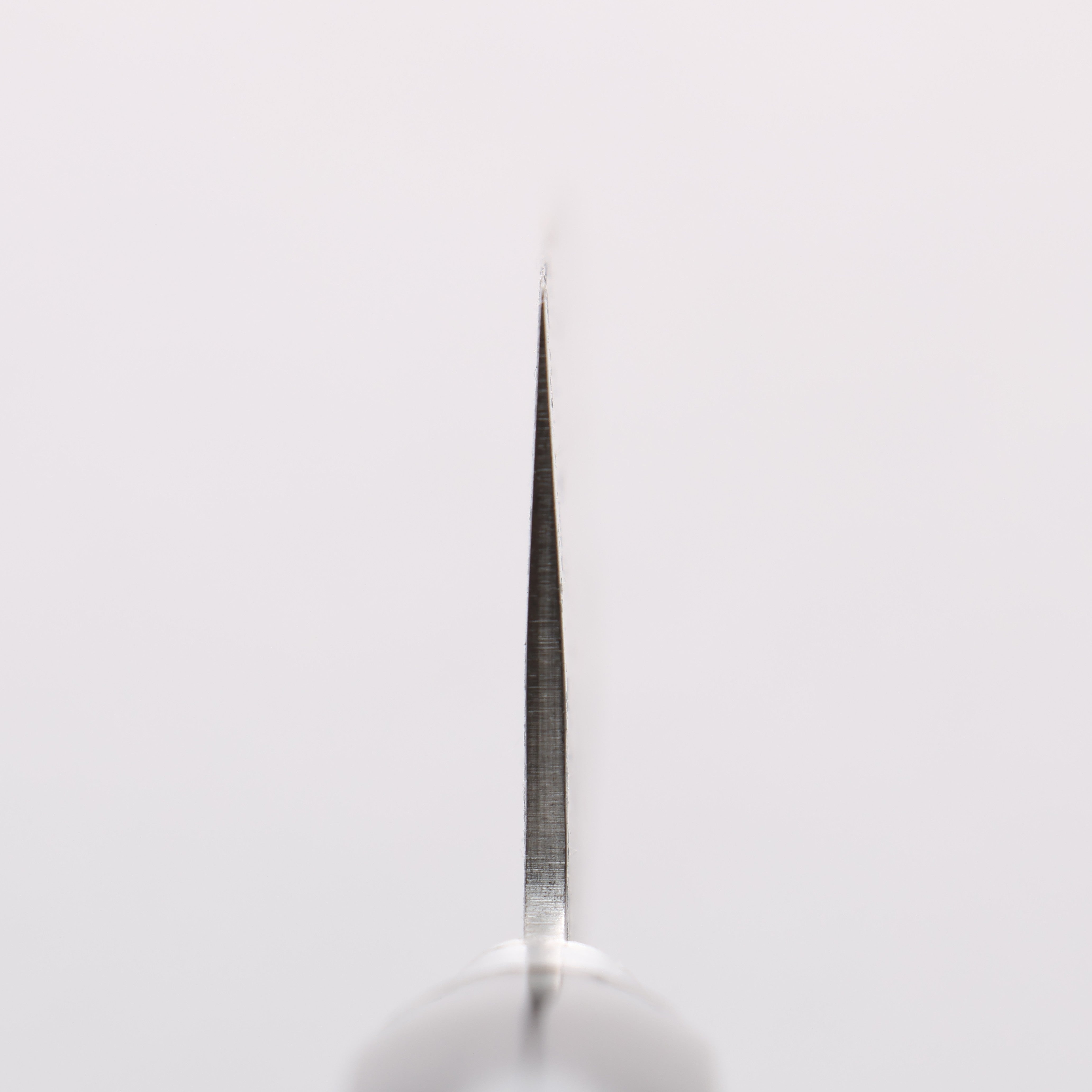 Seisuke Blue Steel No.2 Nashiji Hammered Gyuto 200mm Black Pakka wood Handle - Japanny - Best Japanese Knife