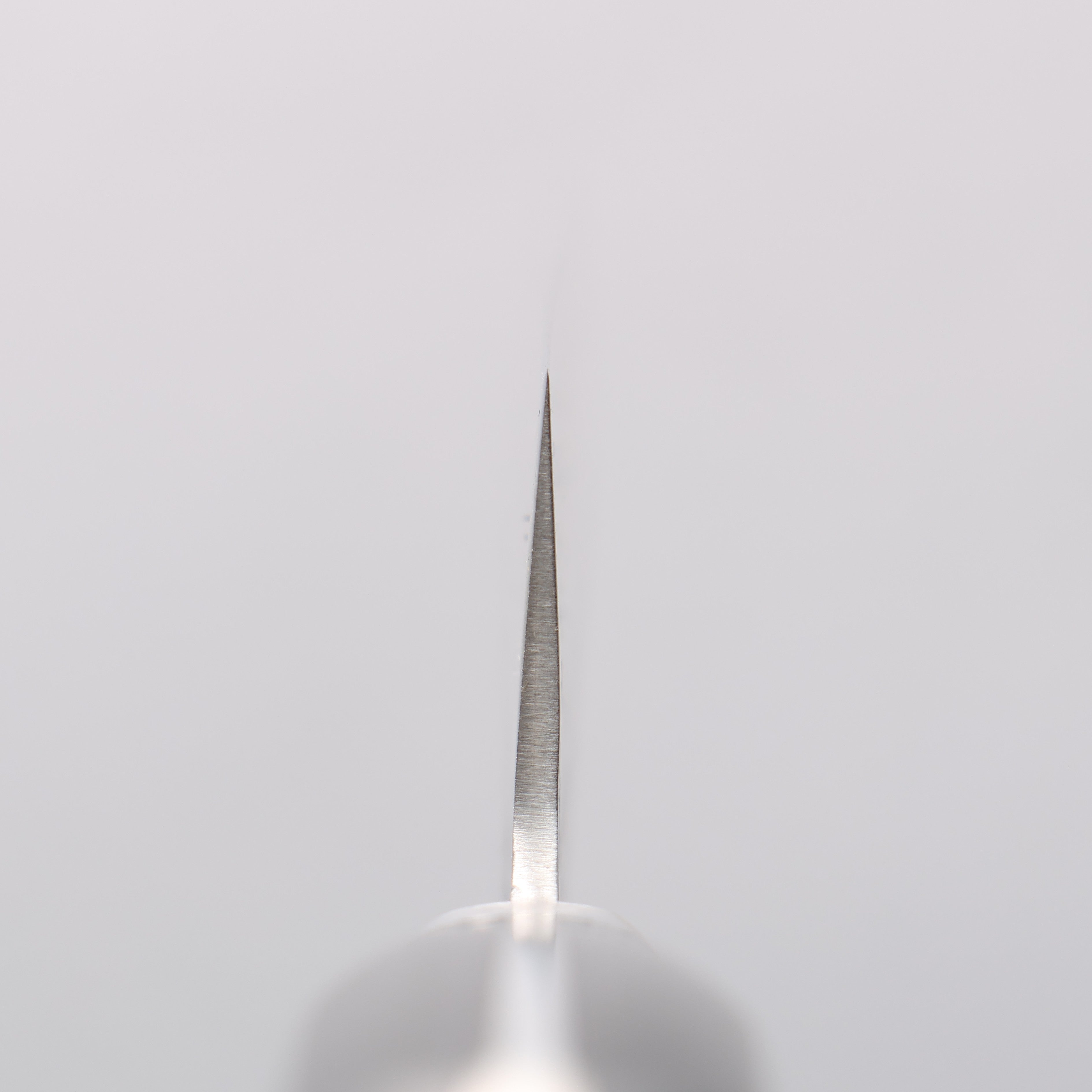 Seisuke AUS8 Hammered Sujihiki 240mm Black Pakka wood Handle - Japanny - Best Japanese Knife