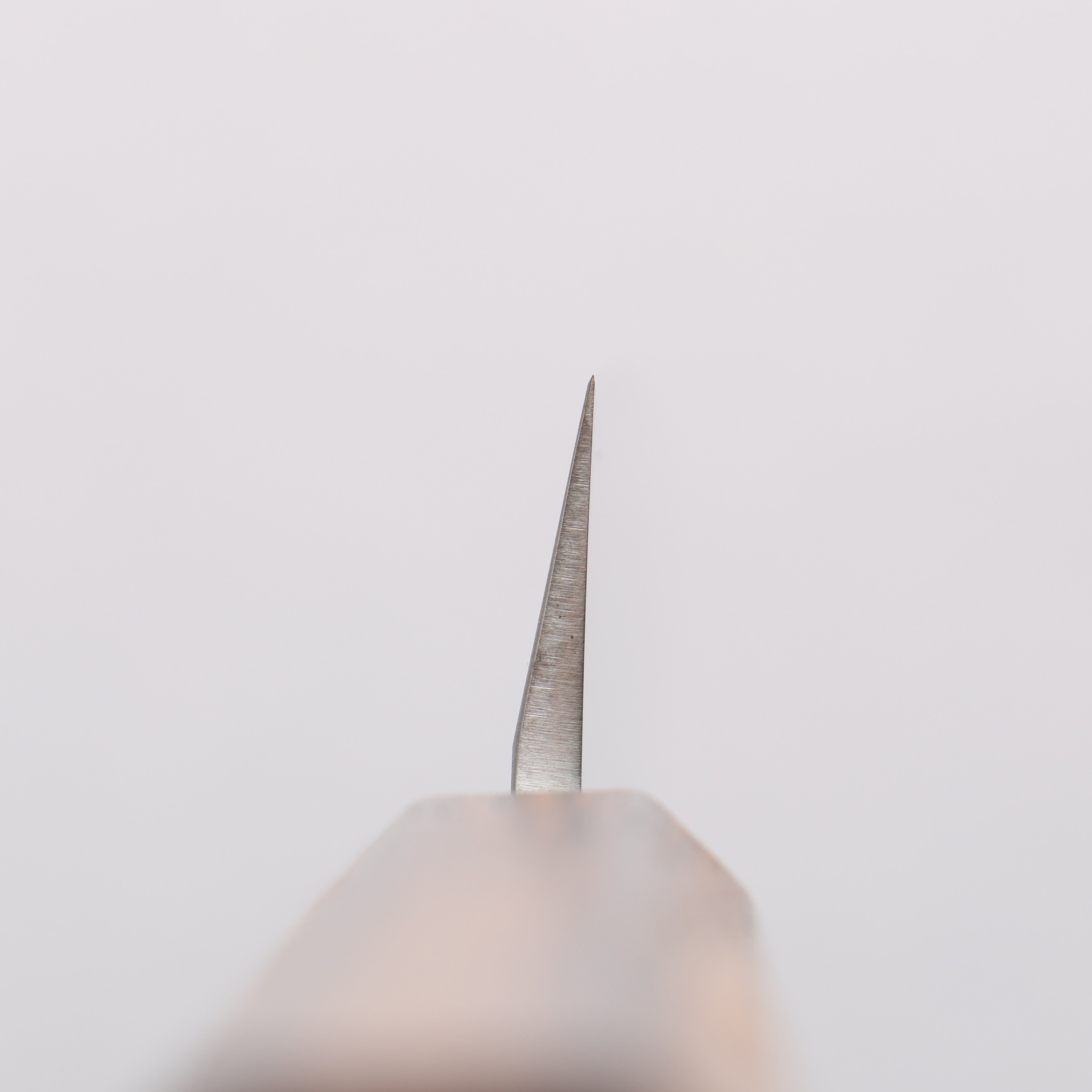 Seisuke AUS8 Yanagiba 240mm Oak Handle - Japanny - Best Japanese Knife