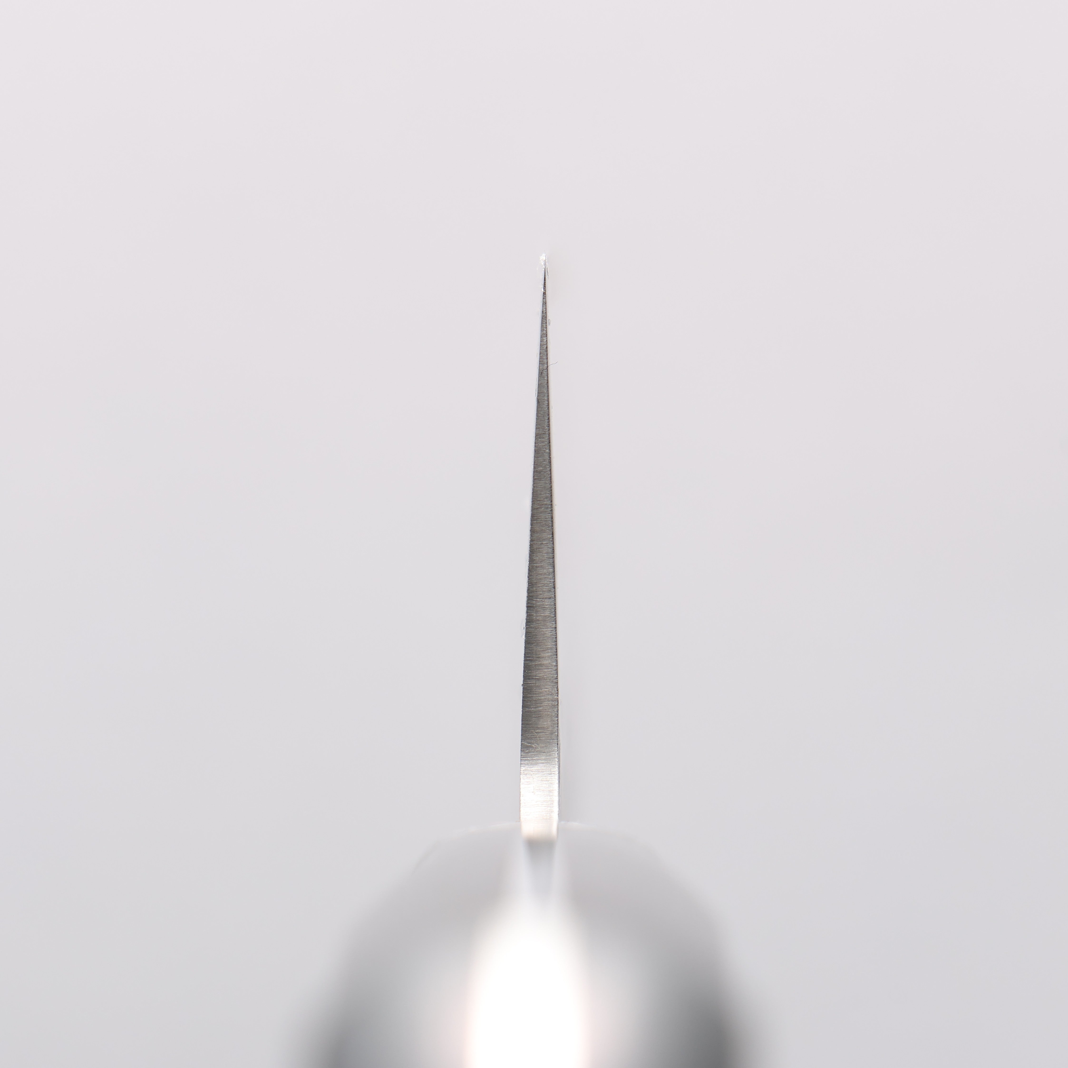 Seisuke AUS8 Hammered Gyuto 210mm Black Pakka wood Handle - Japanny - Best Japanese Knife