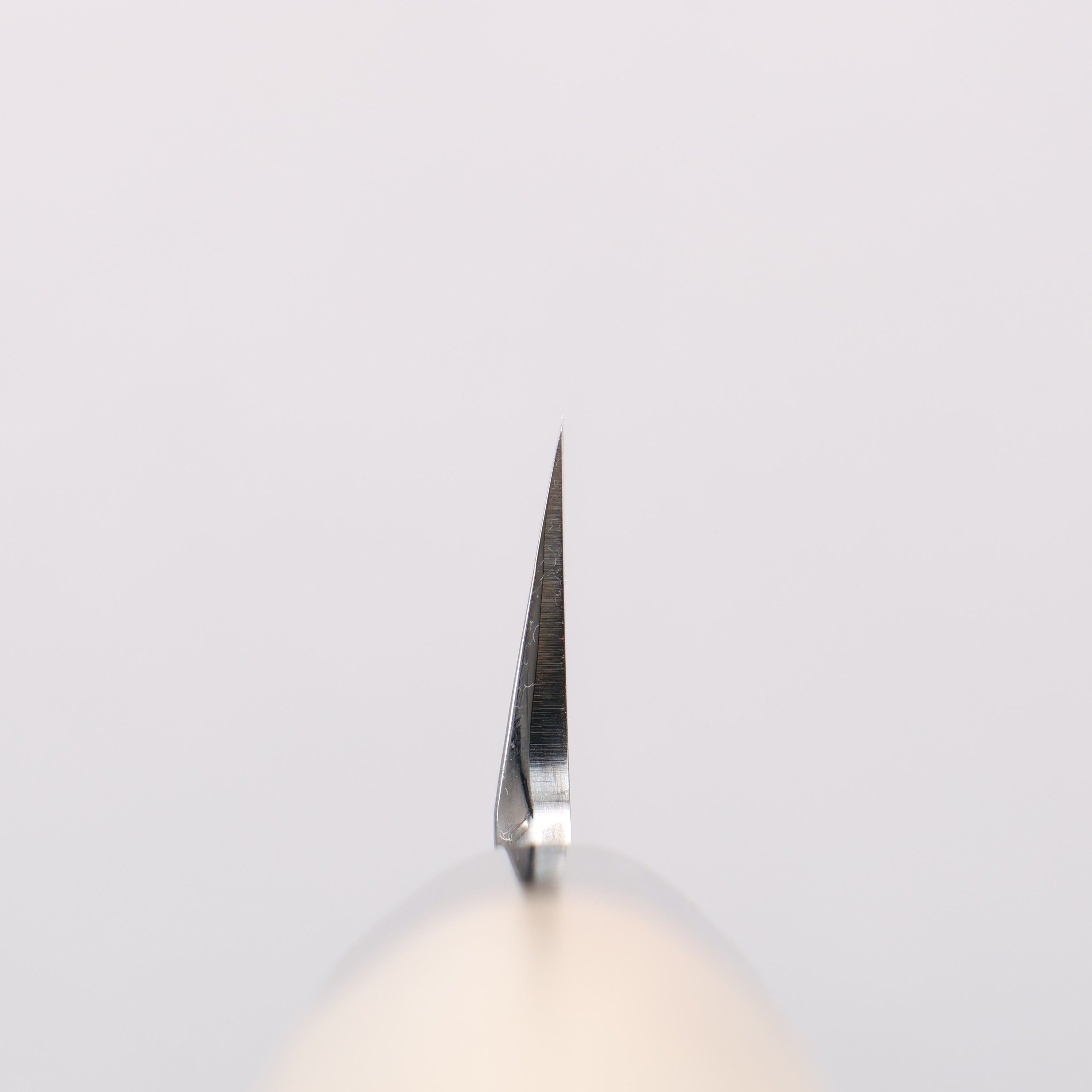 Sakai Takayuki Blue Steel No.2 Mirrored Finish Fuguhiki - Japanny - Best Japanese Knife