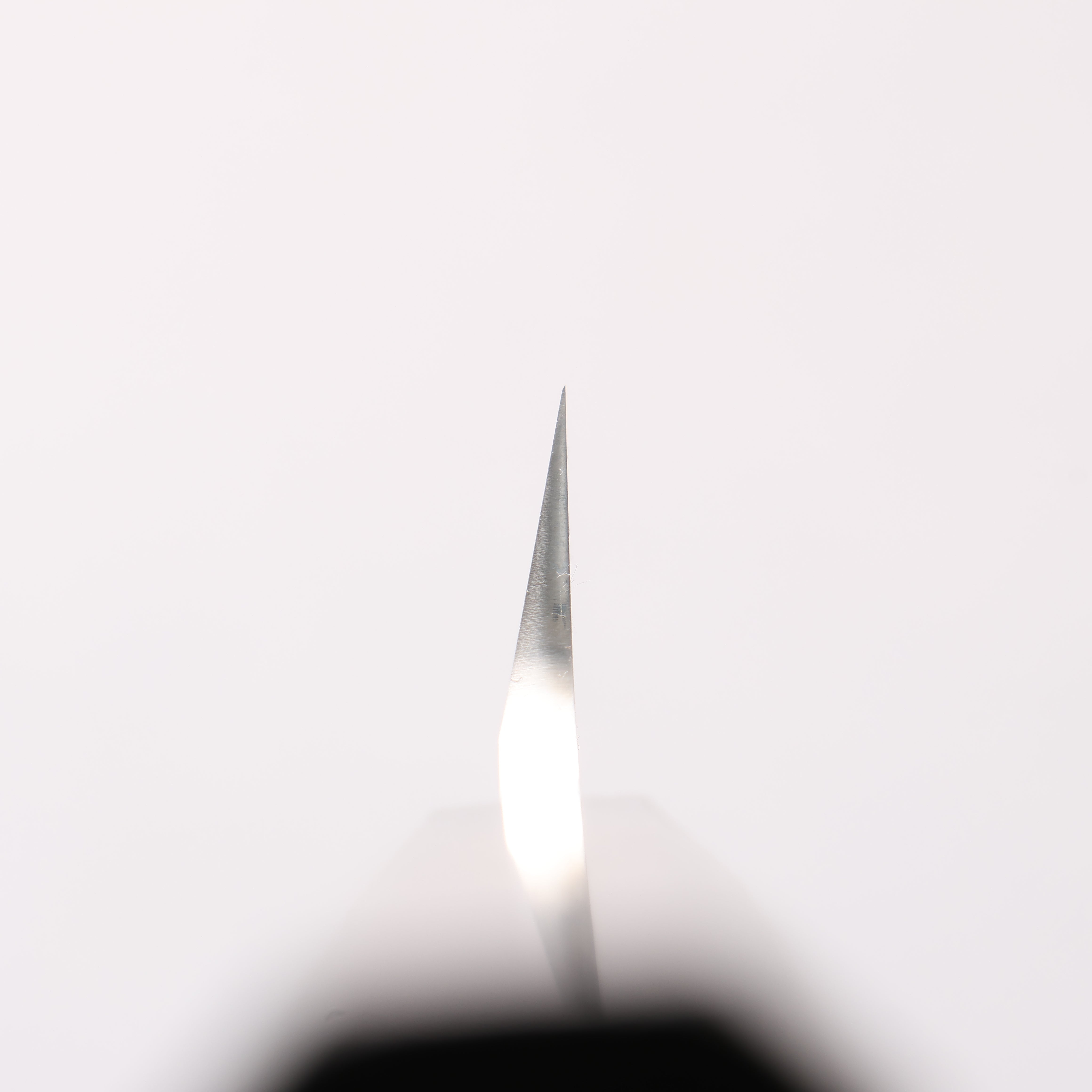 Sakai Takayuki Honyaki VG10 Dragon engraving Sakimaru Yanagiba 300mm Wenge Handle with Sheath - Japanny - Best Japanese Knife