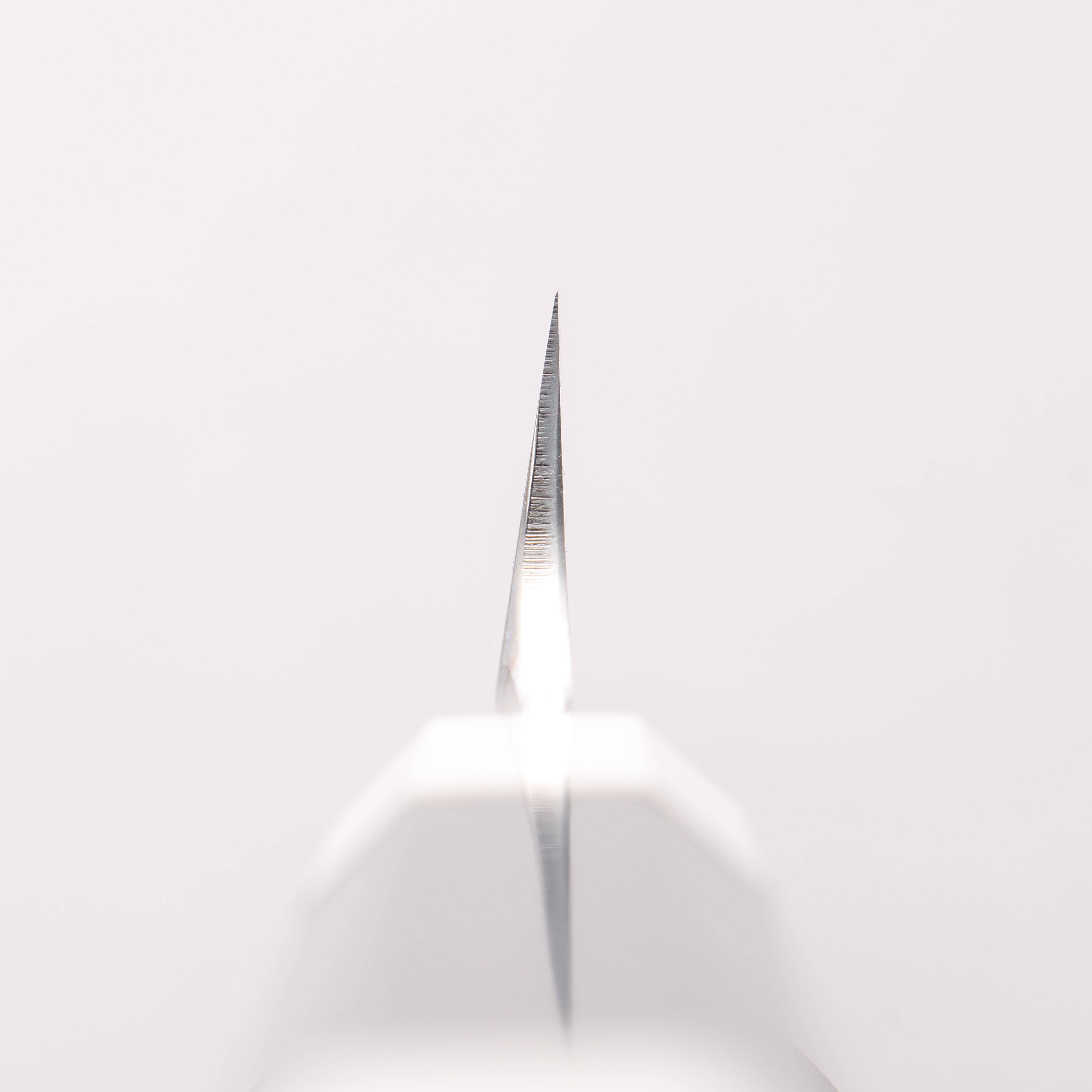 Sakai Takayuki Shinuchi Water Quenching Honyaki White Steel No.2 Mirrored Finish Kiritsuke Yanagiba 300mm with Sheath - Japanny - Best Japanese Knife